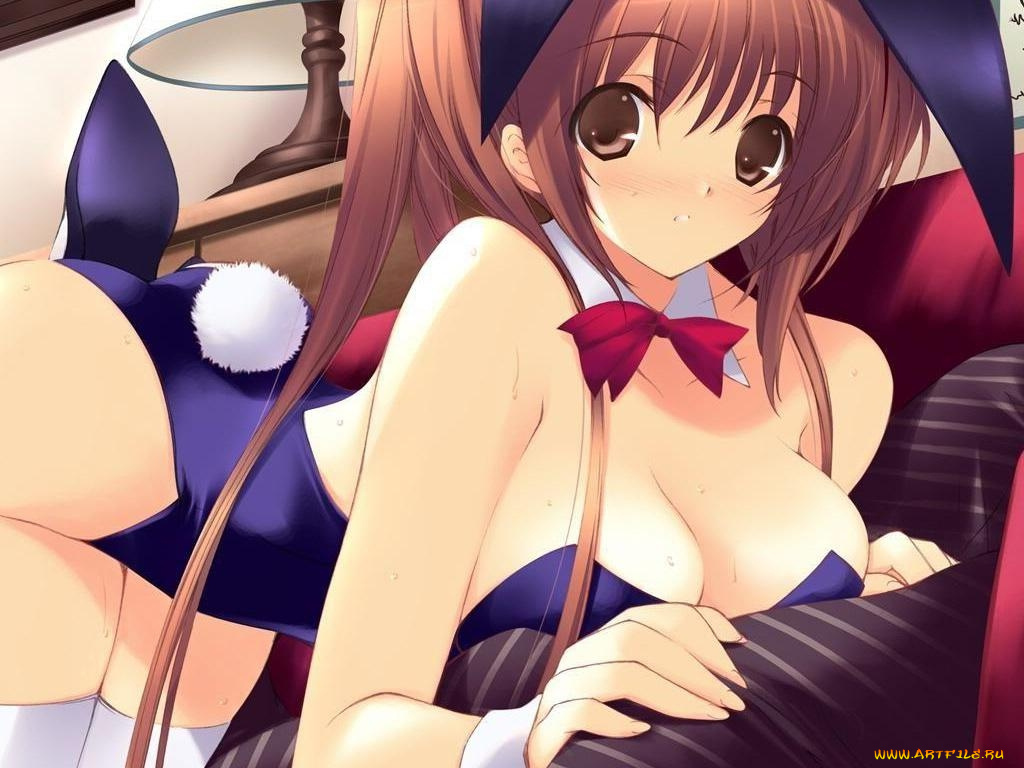 аниме, dead, or, alive