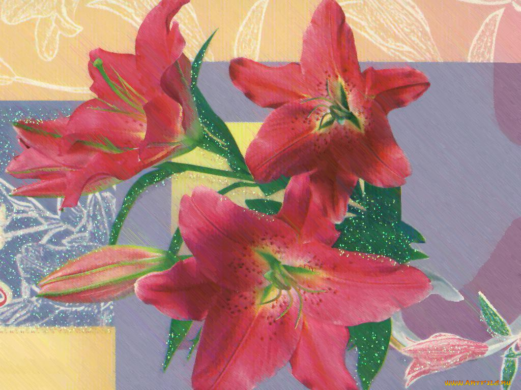 рисованные, цветы