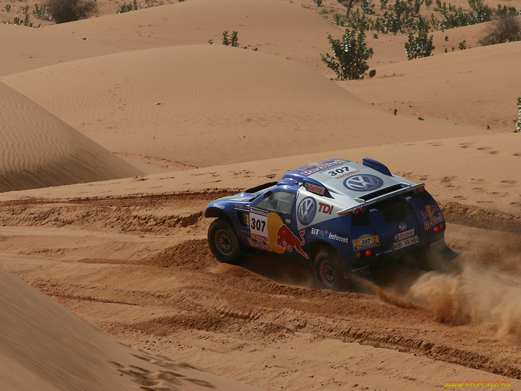 спорт, авторалли