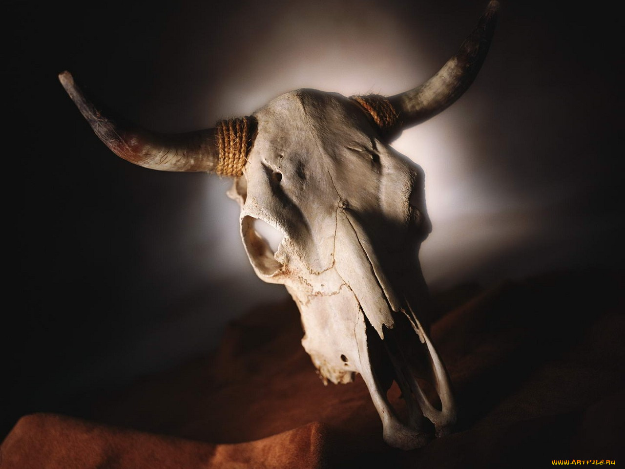 разное, кости, рентген