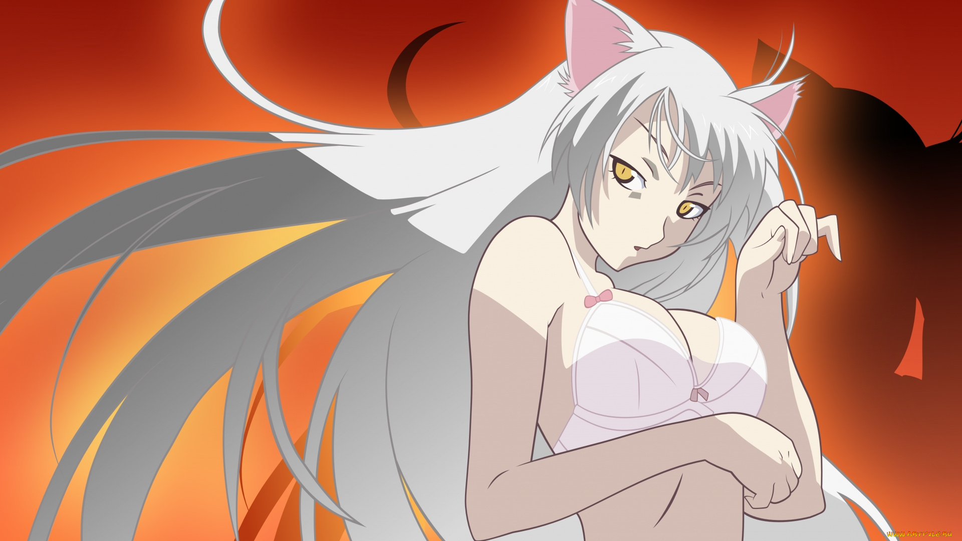 аниме, bakemonogatari, hanekawa, tsubasa, девушка, нижнее, белье, ушки, кошка