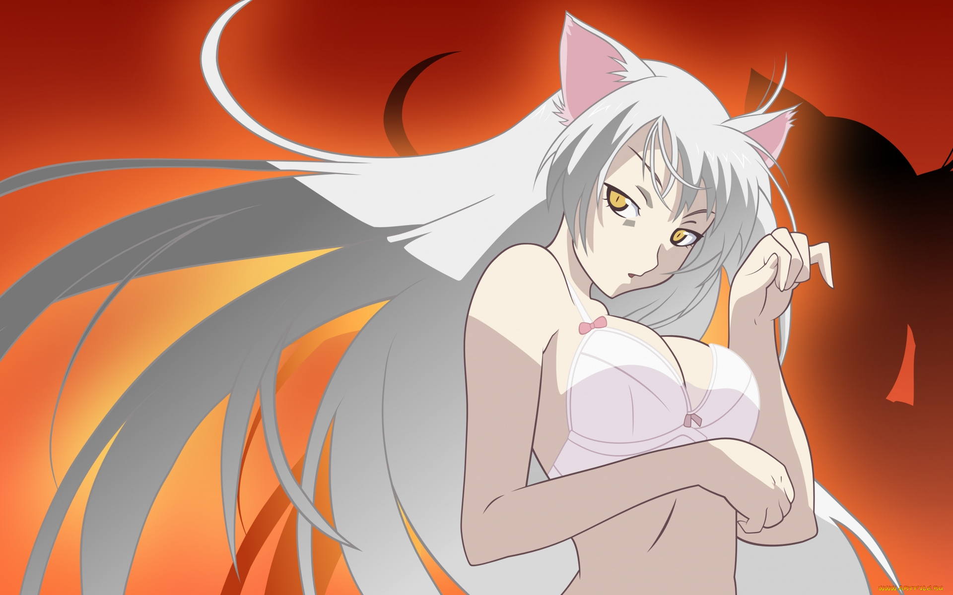 аниме, bakemonogatari, hanekawa, tsubasa, девушка, нижнее, белье, ушки, кошка