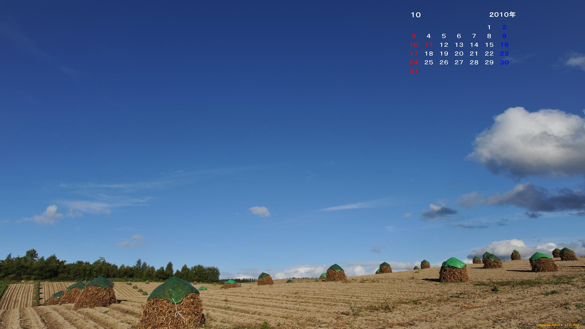 календари, природа