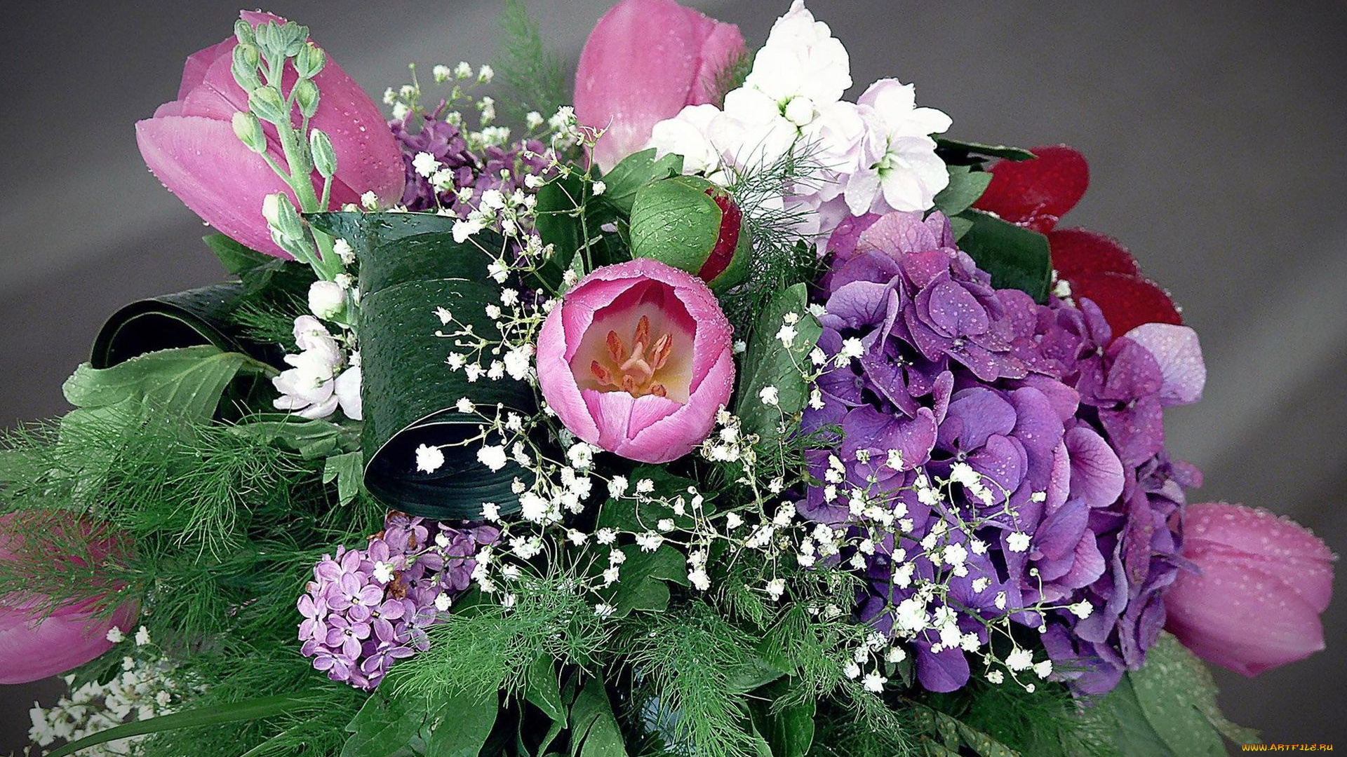 цветы, букеты, композиции, сирень, гортензия, тюльпаны