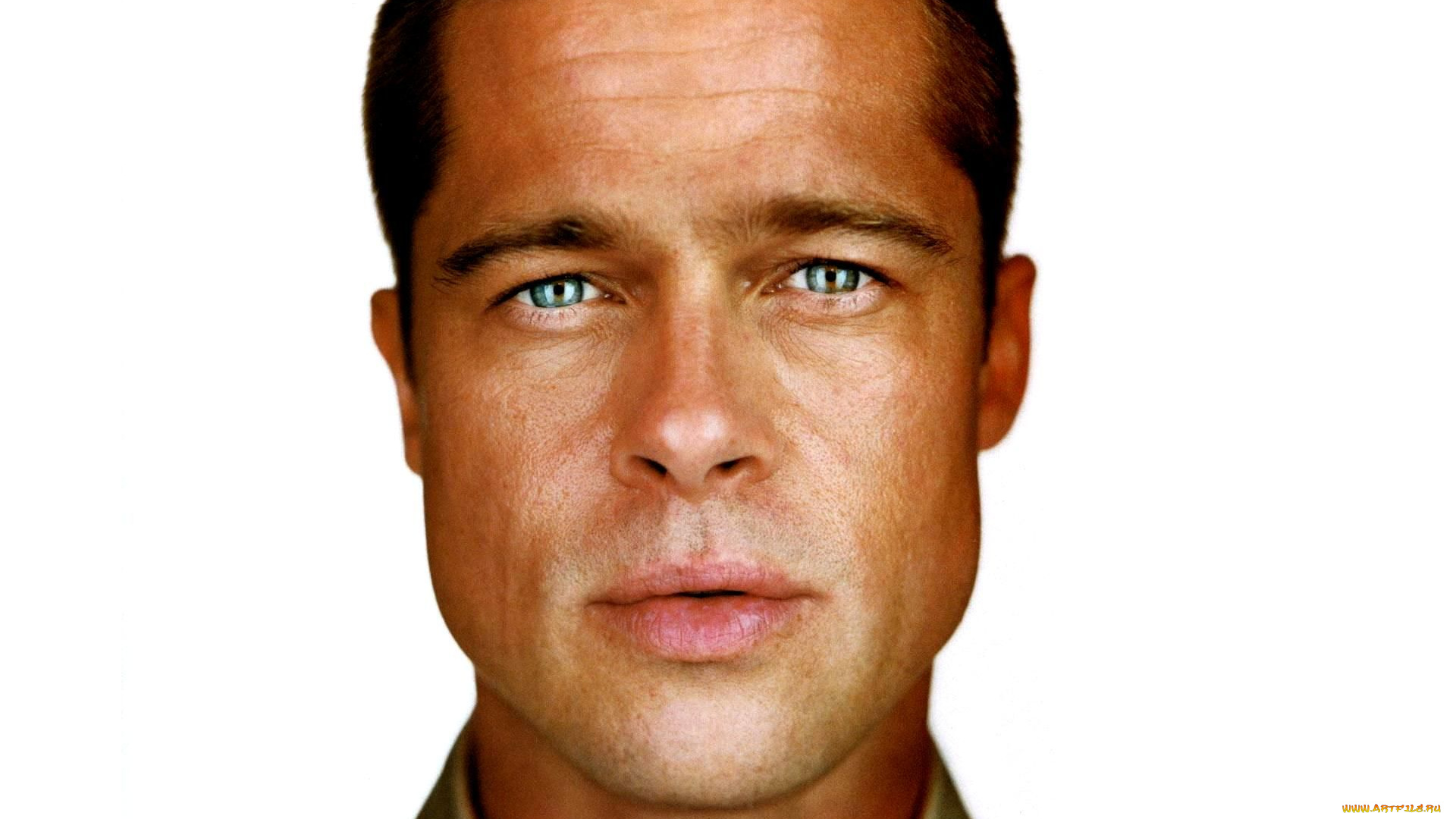 мужчины, brad, pitt, актер
