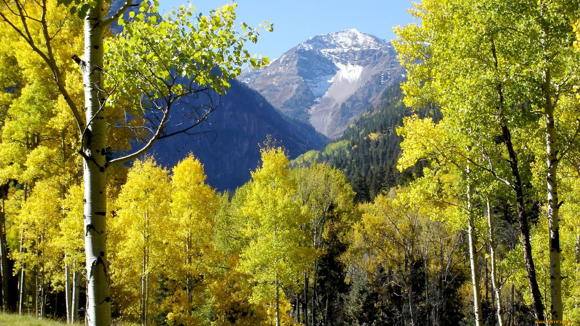 природа, деревья, осень, лес, горы, берёзы