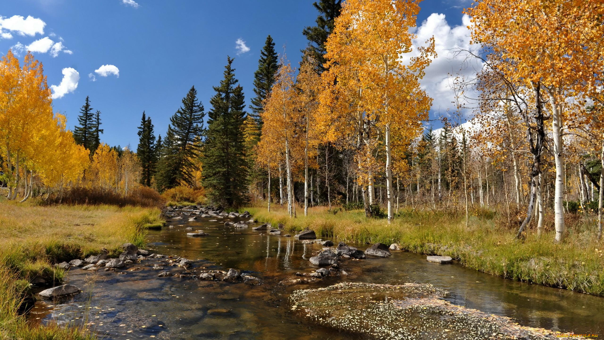 природа, реки, озера, камни, деревья, осень, река