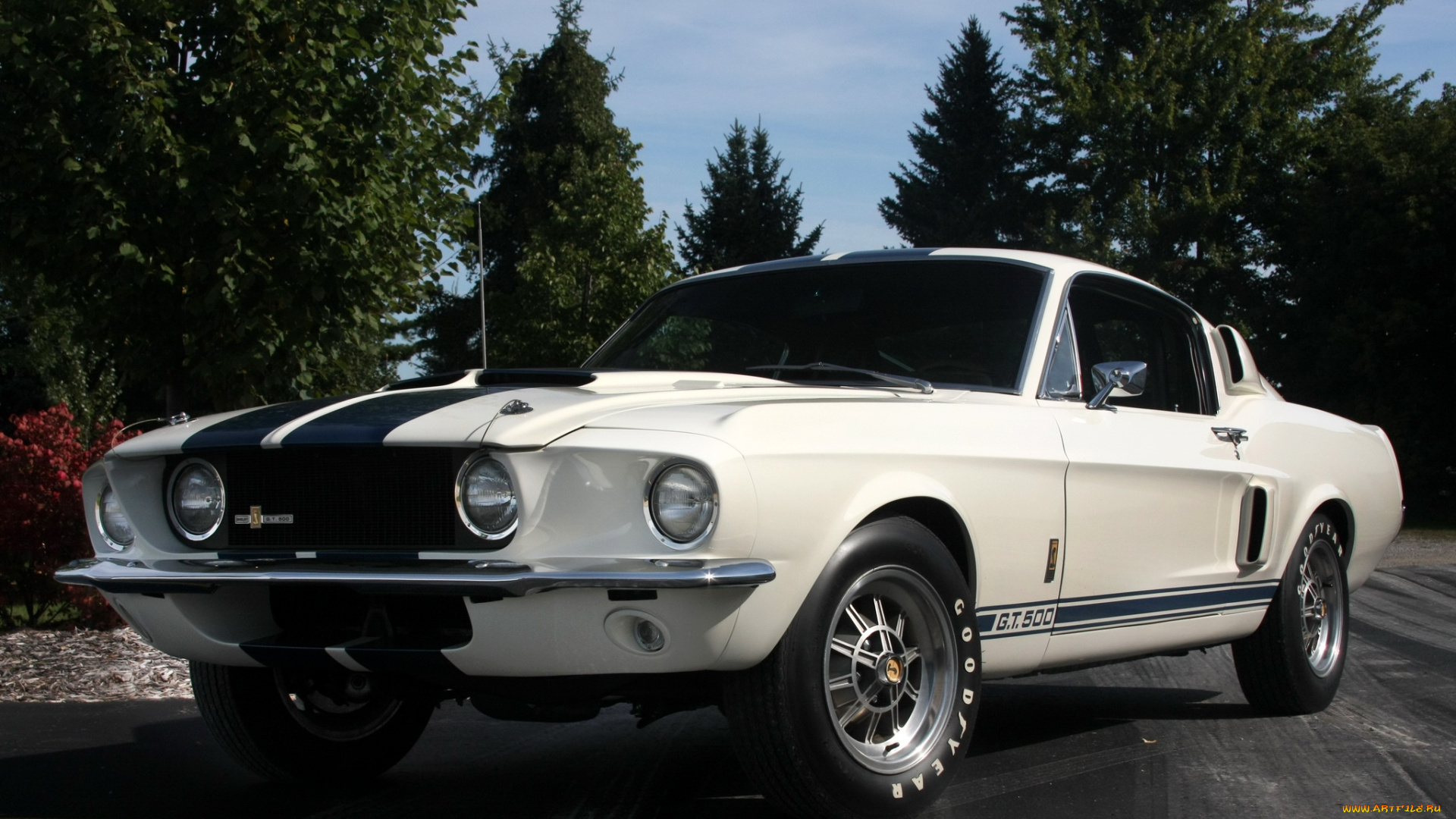 shelby, gt500, автомобили, mustang
