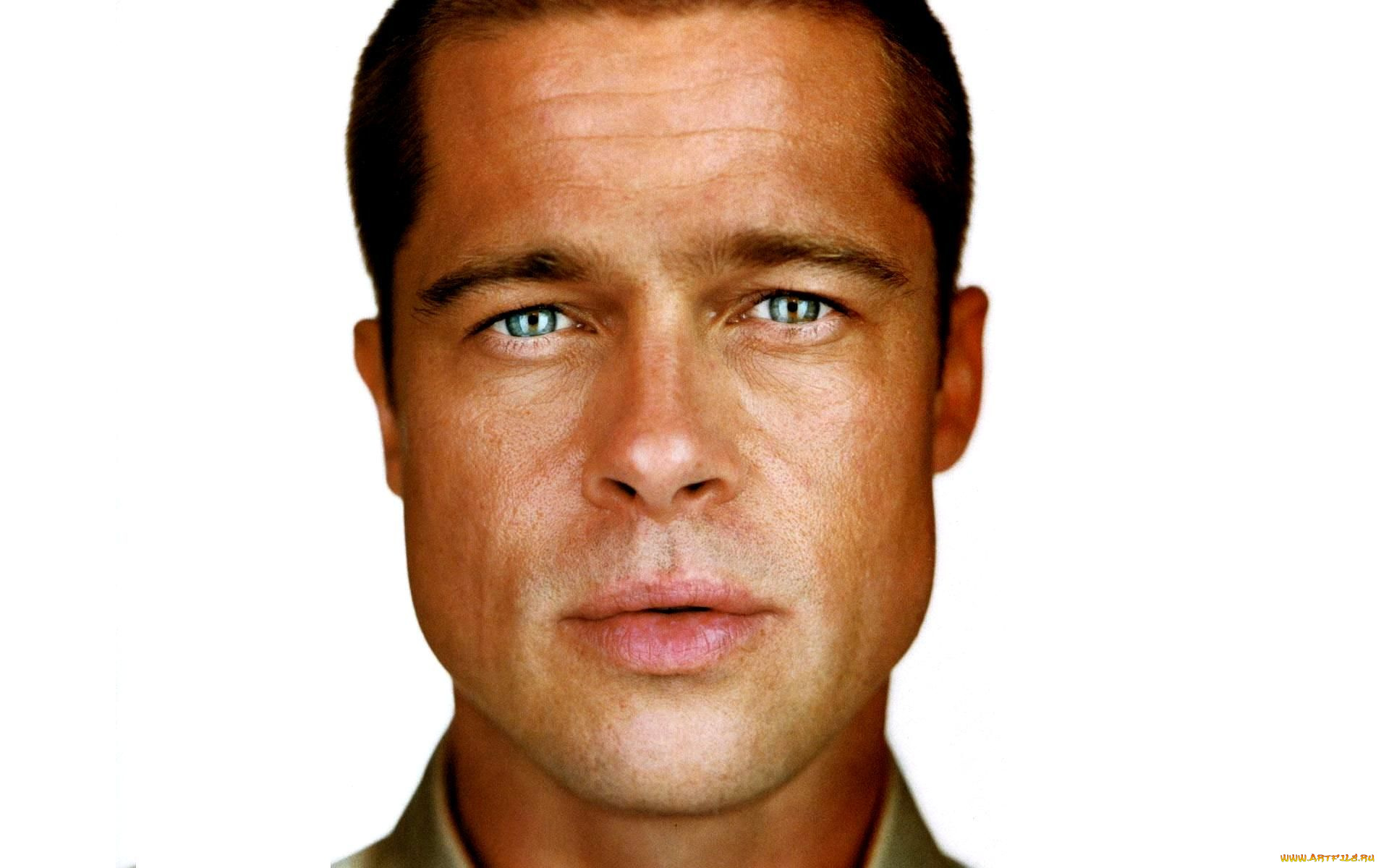 мужчины, brad, pitt, актер