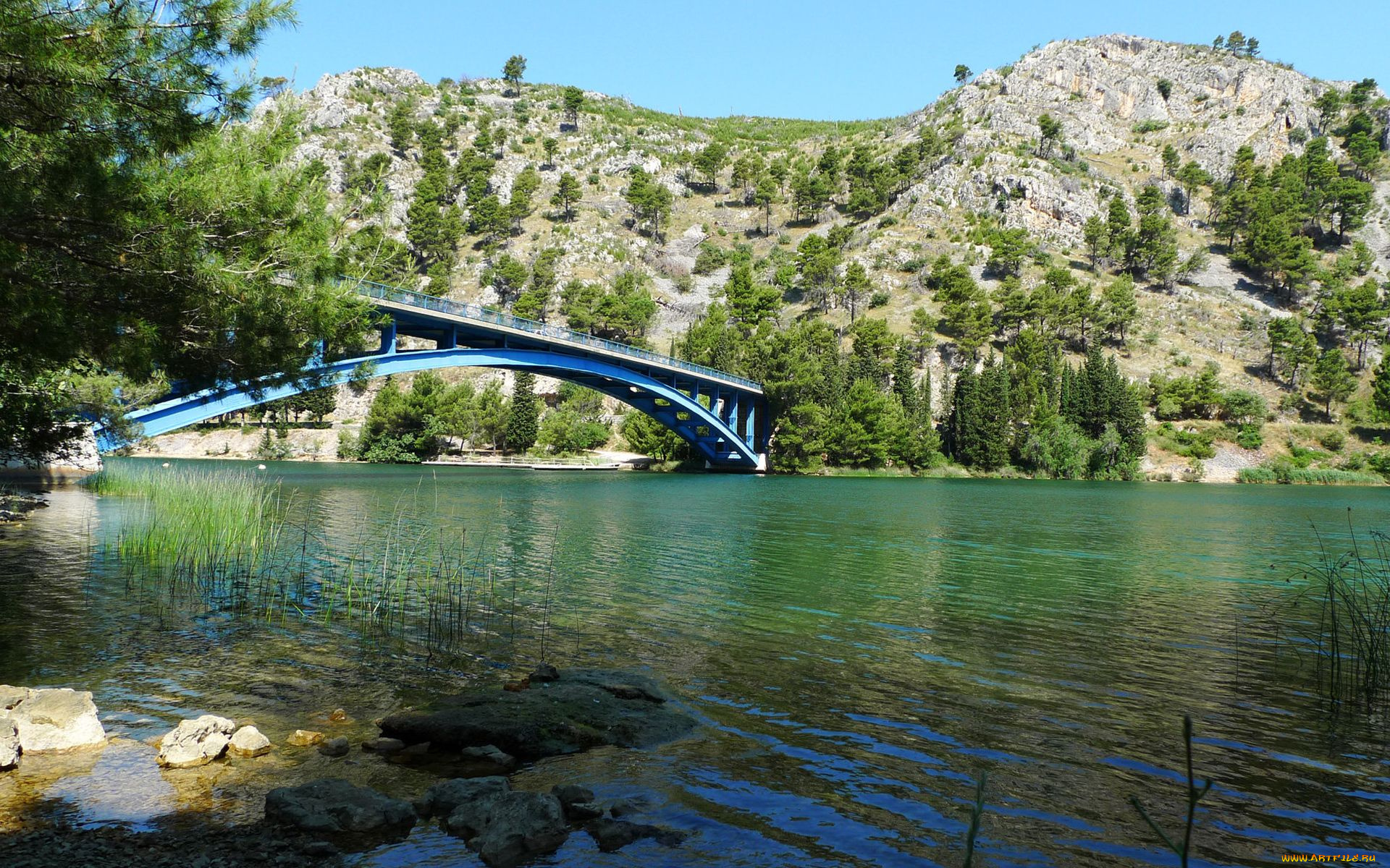 природа, реки, озера, мост, река