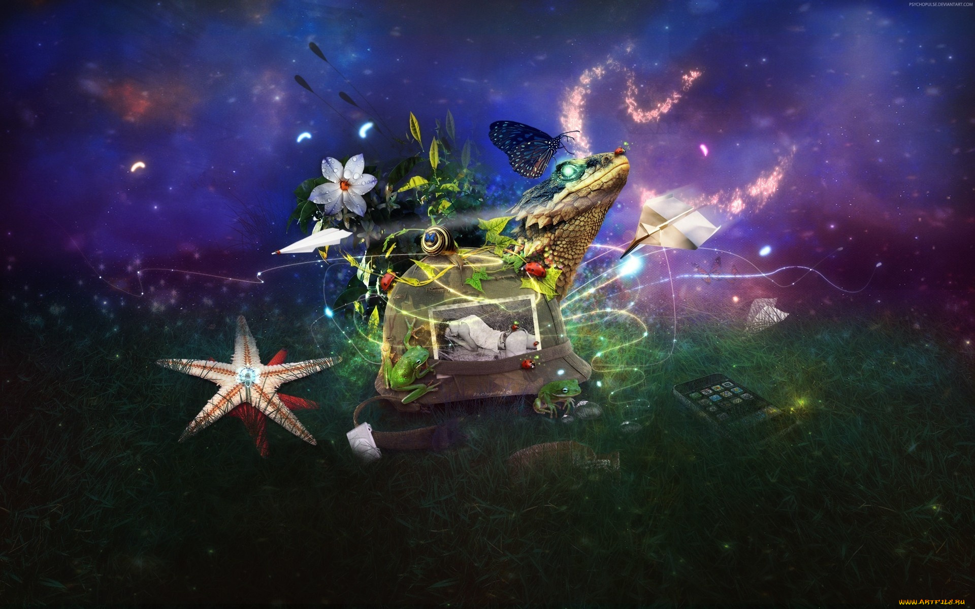 разное, компьютерный, дизайн, цветы, бабочка, улитка, насекомые