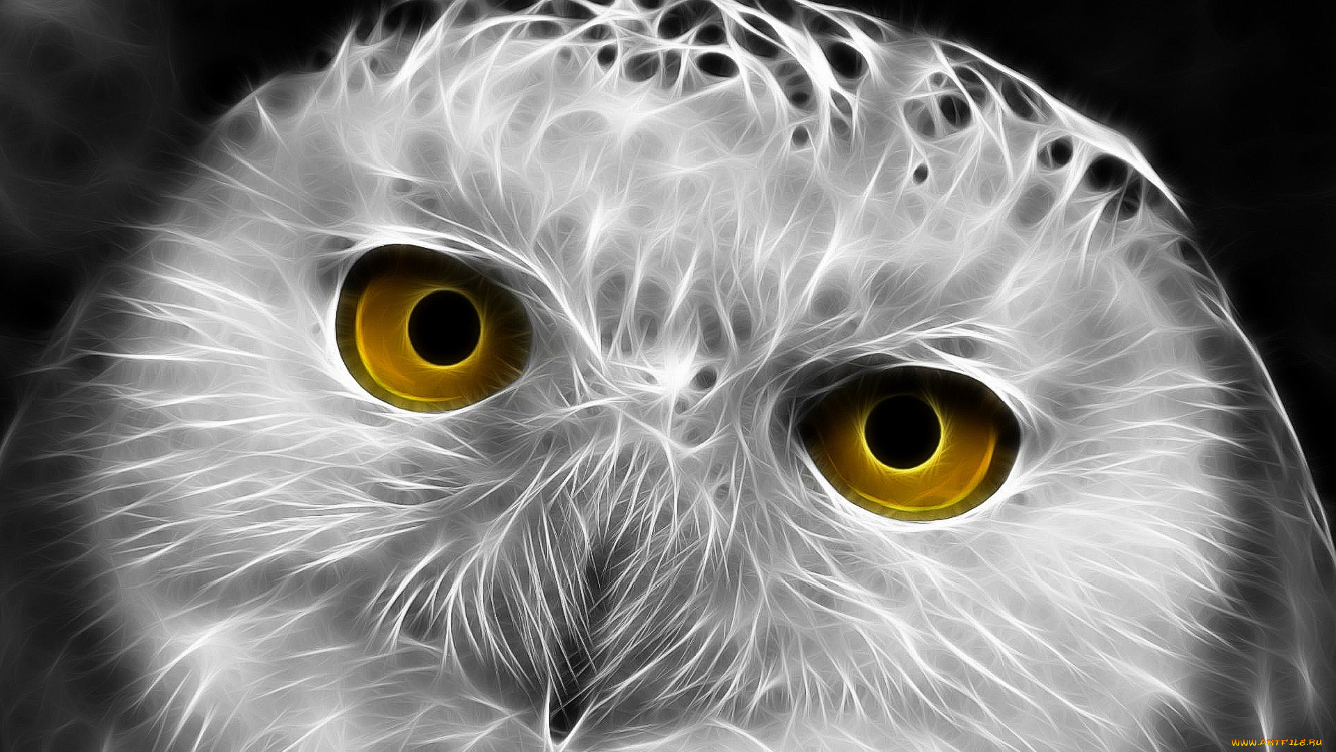 3д, графика, animals, животные, сова