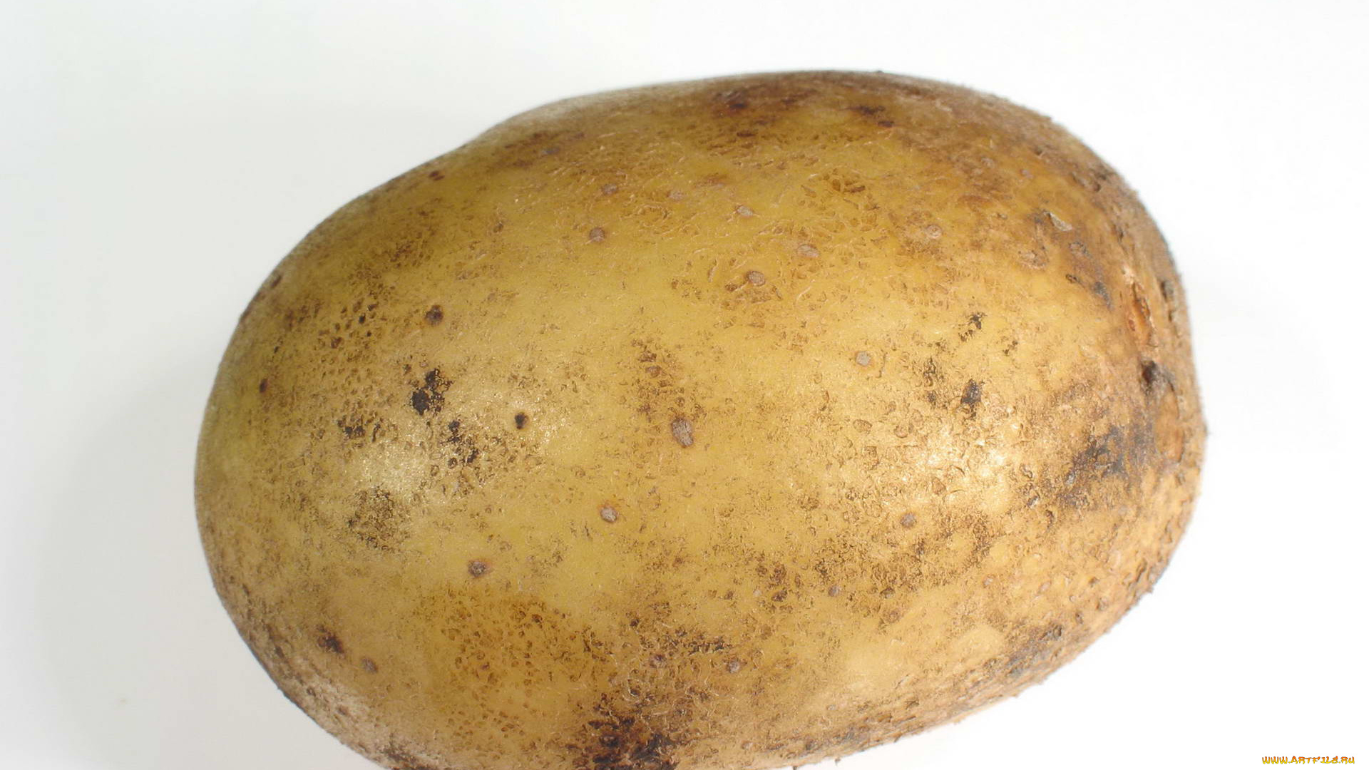 еда, картофель, картошка