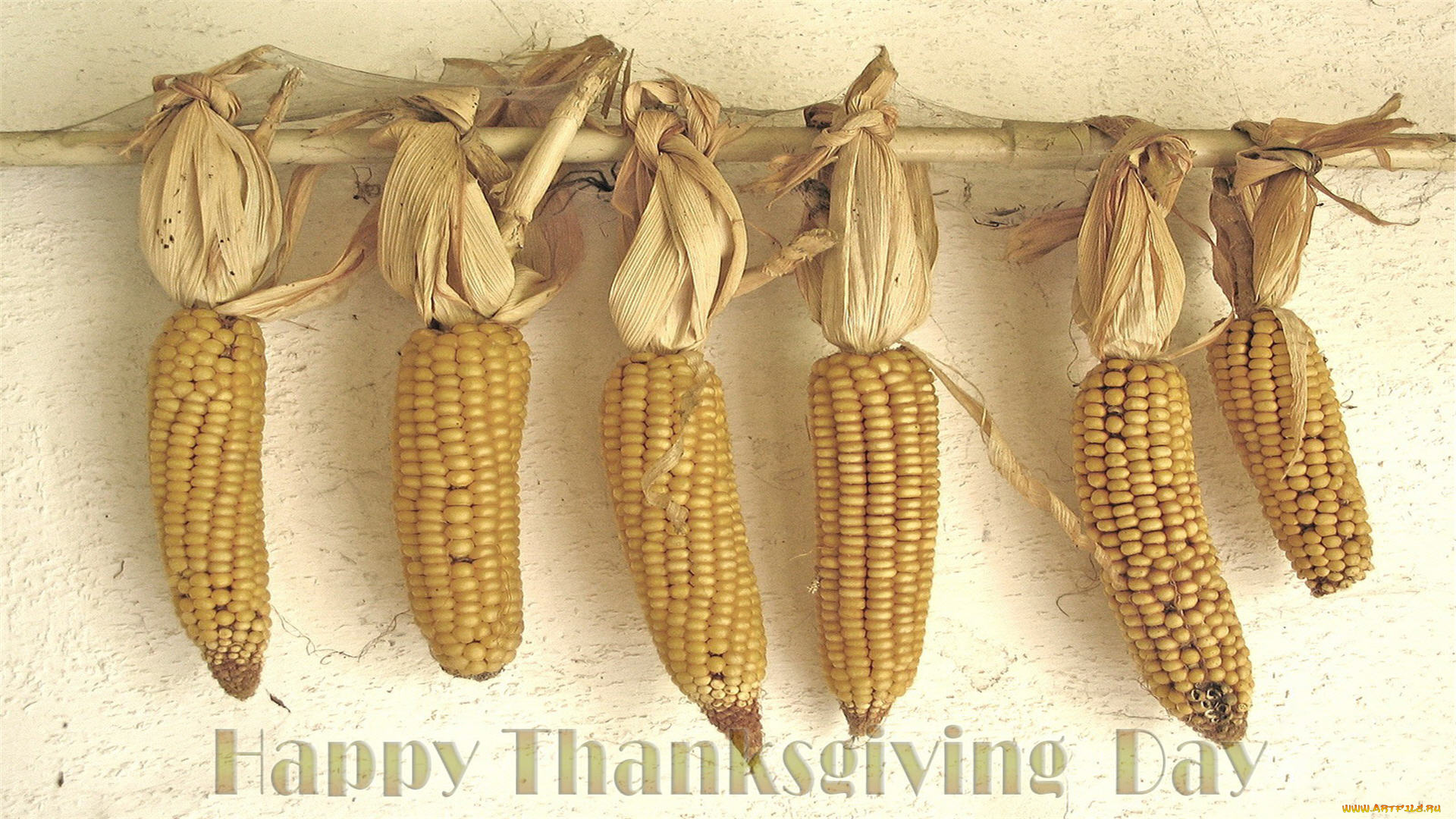 еда, кукуруза