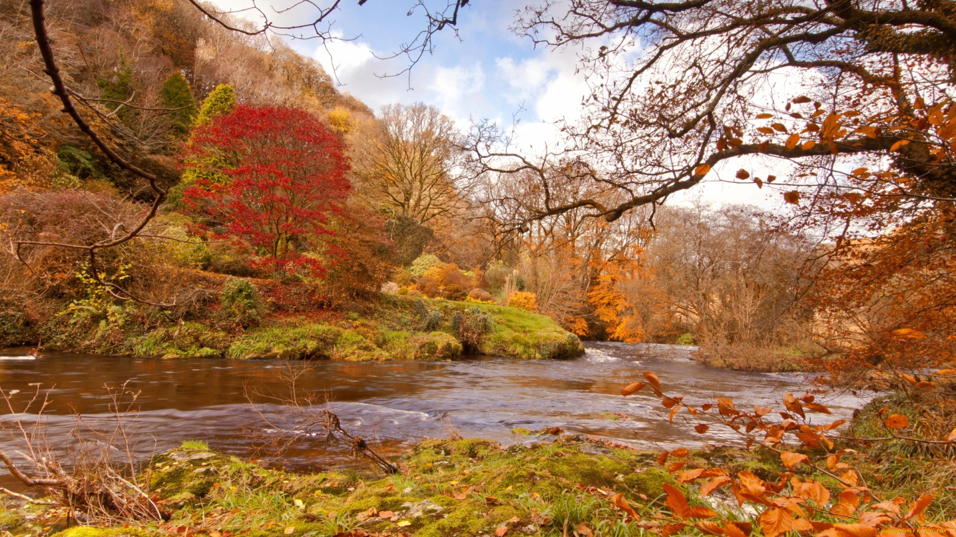 природа, реки, озера, осень, вода, рка