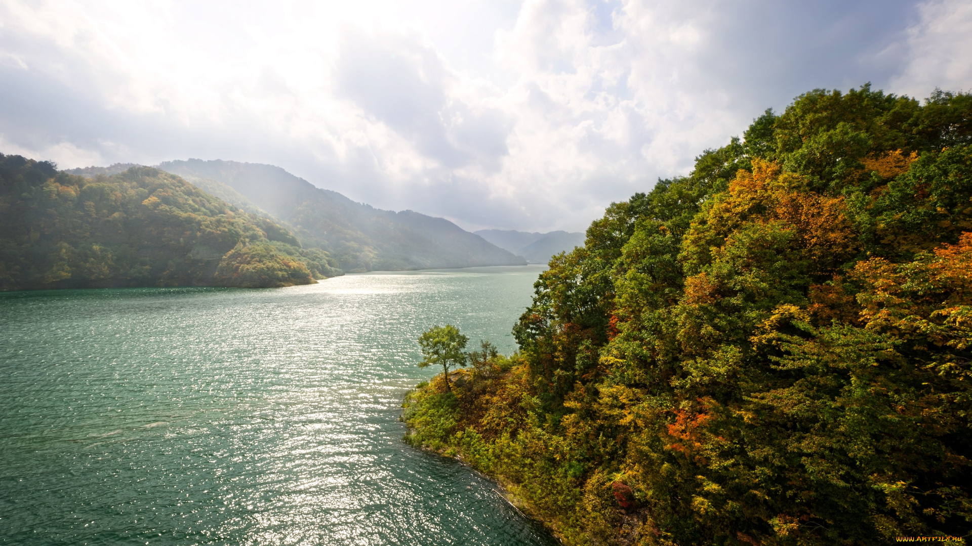 природа, реки, озера, вода, лес