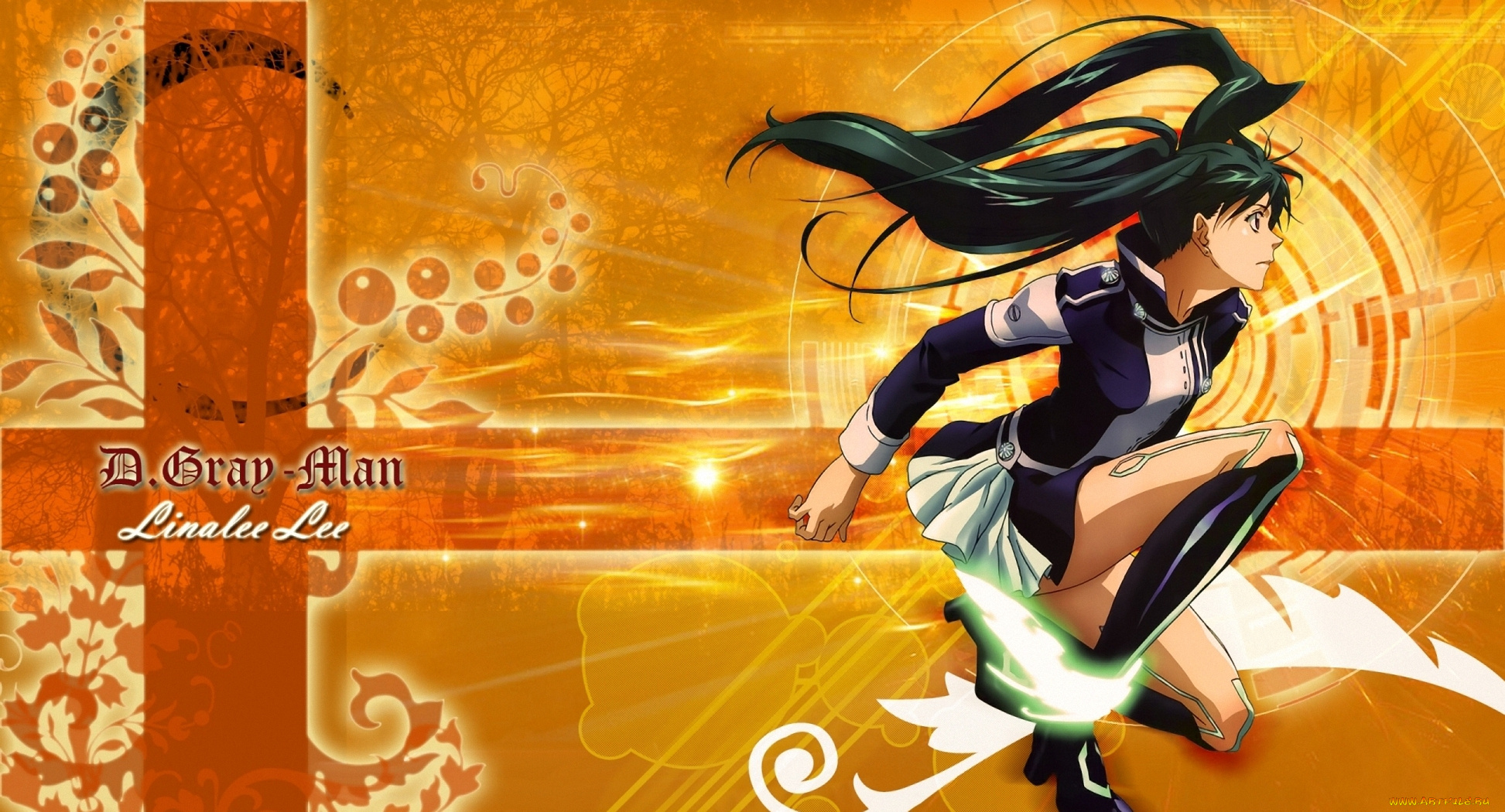 аниме, gray, man, linalee