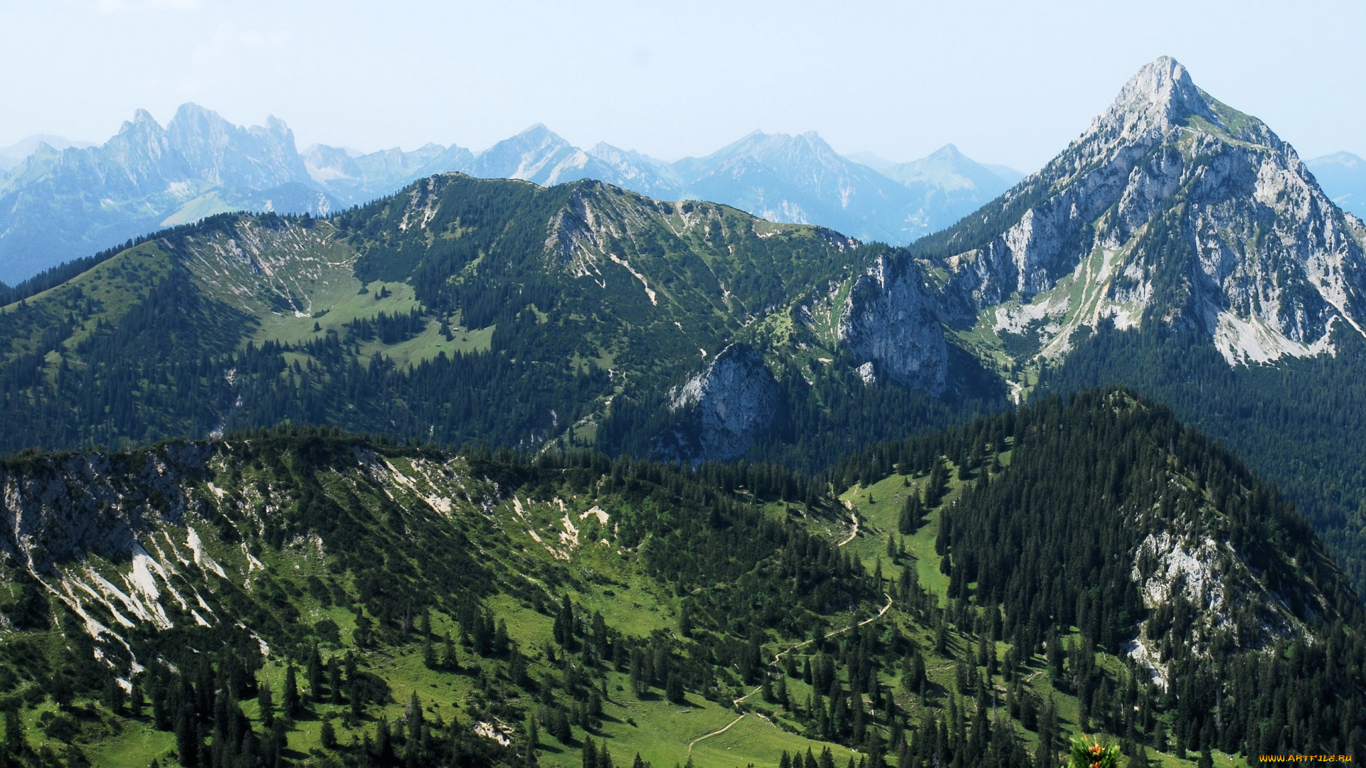 бавария, германия, природа, горы, ели