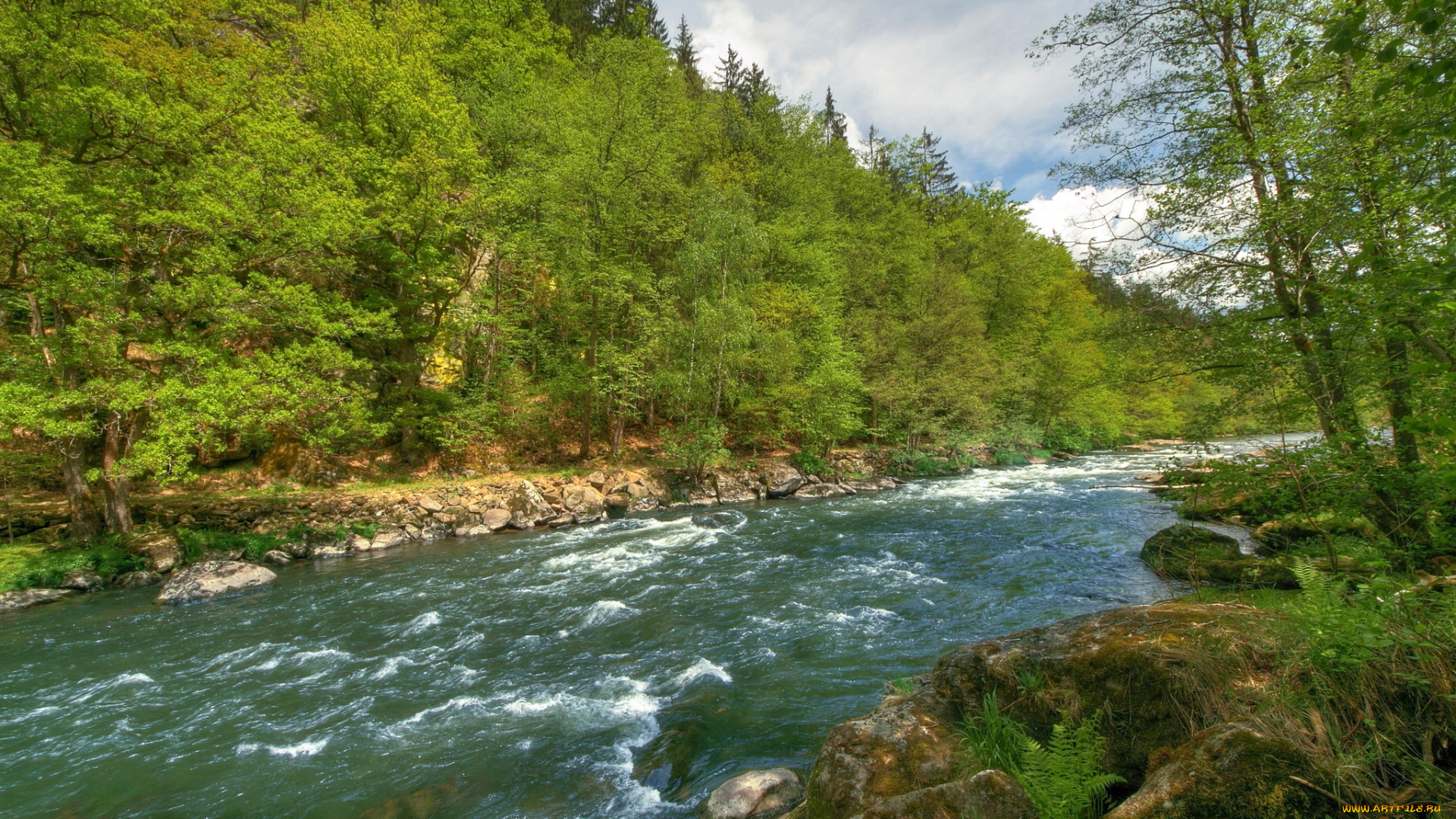 германия, бавария, природа, реки, озера, лес, река