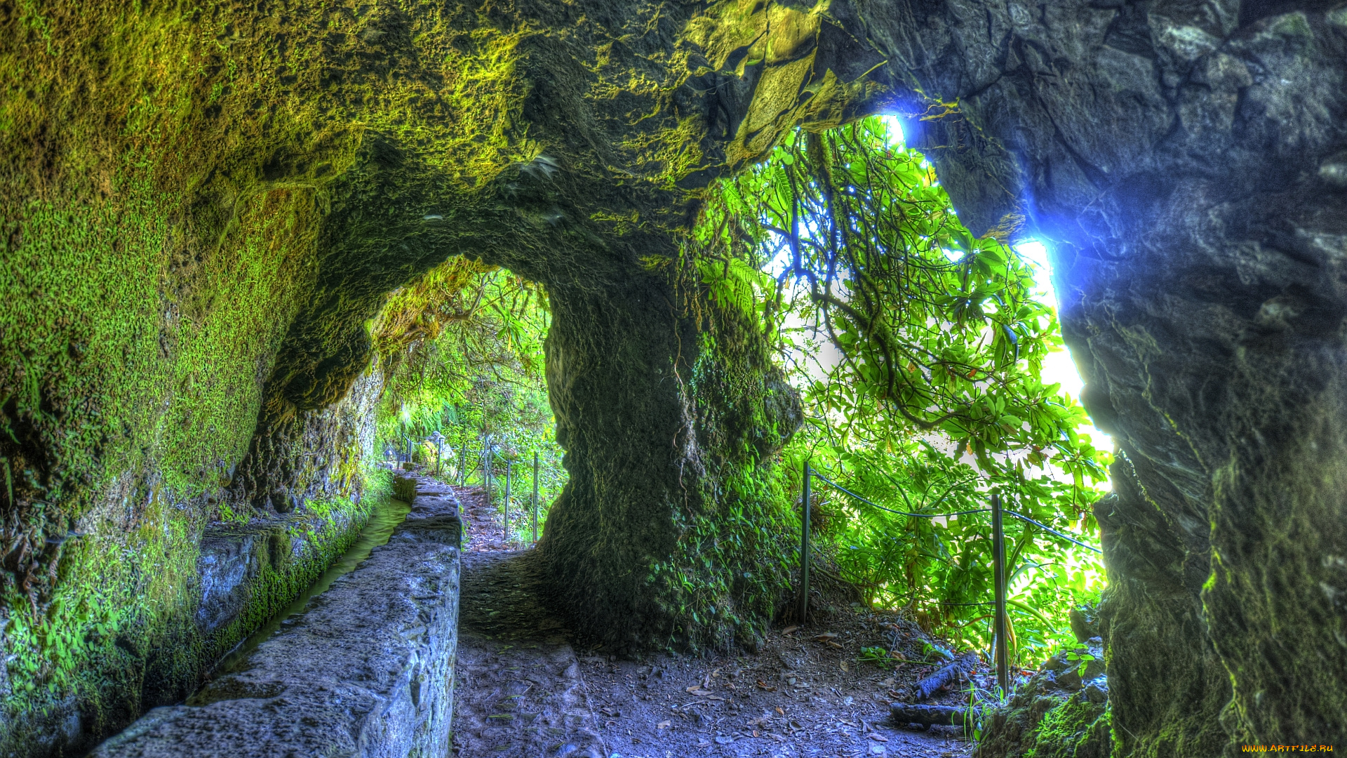португалия, madeira, природа, горы, дорожка, растительность, арка, скалы