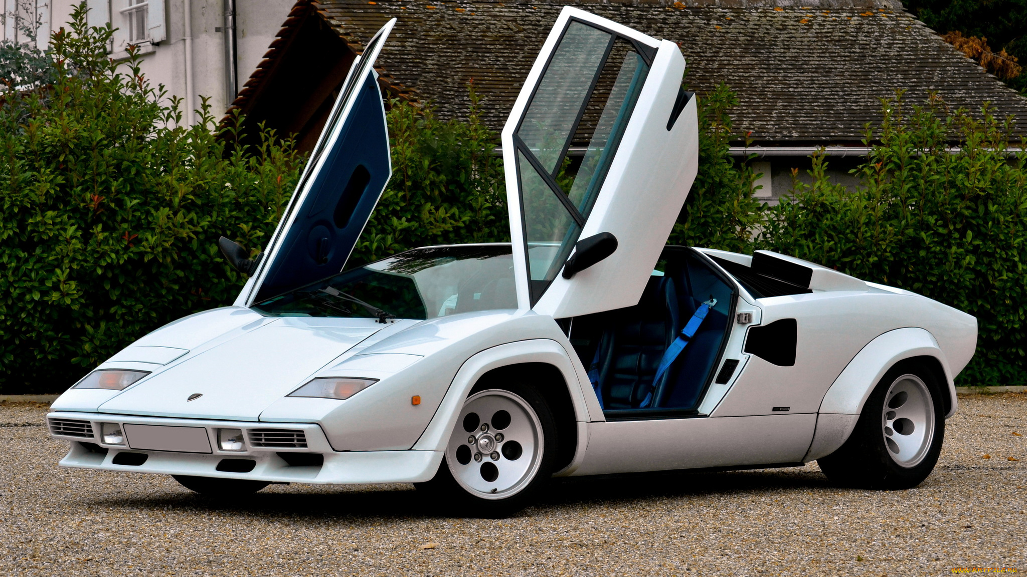 lamborghini, countach, автомобили, класс-люкс, спортивные, италия, automobili, holding, s, p, a