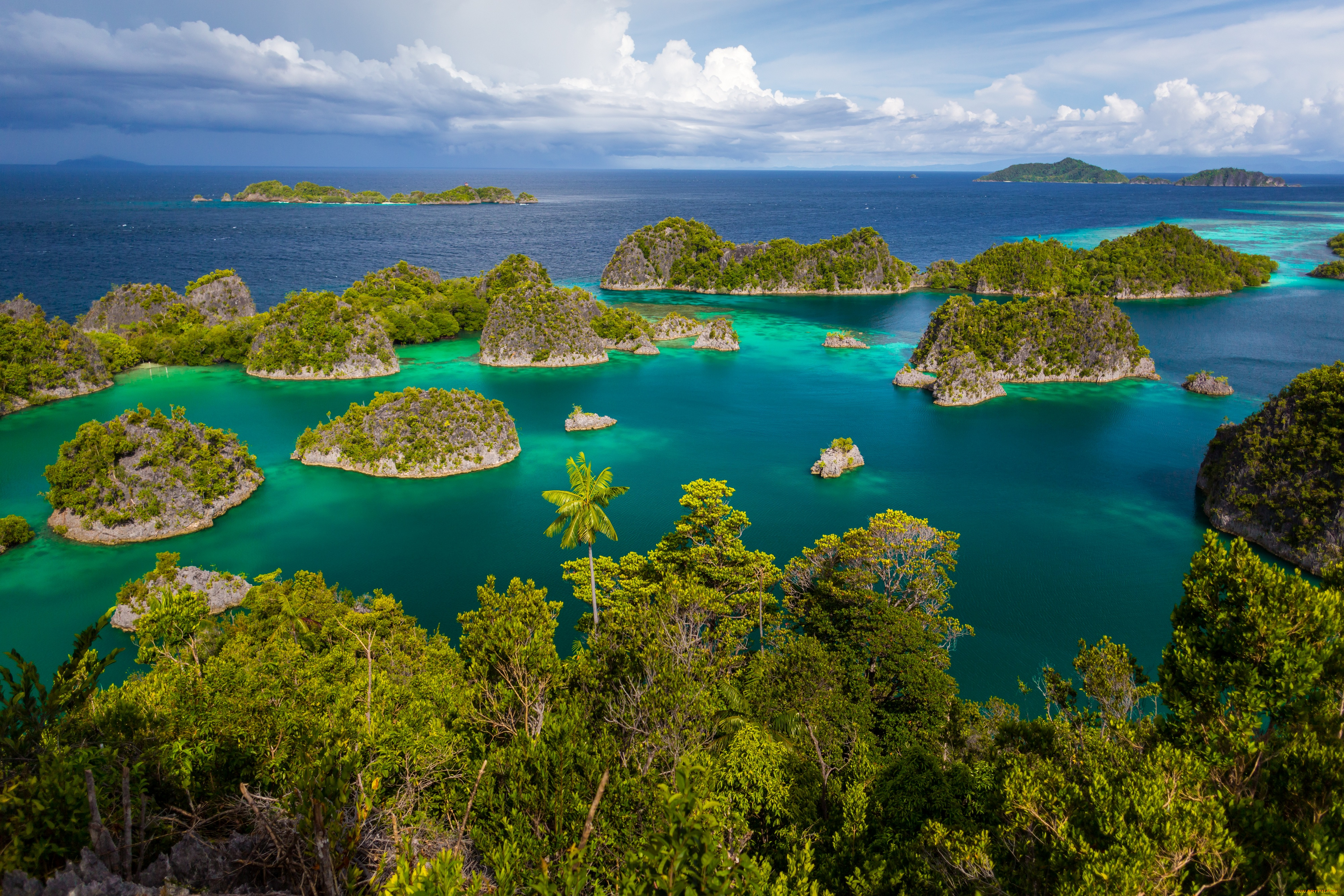 природа, моря, океаны, океан, побережье