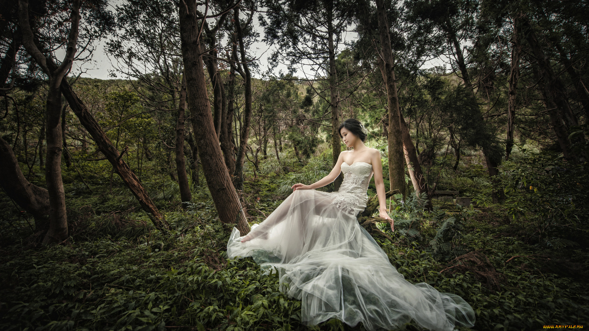 девушки, -unsort, , азиатки, девушка, поза, лес