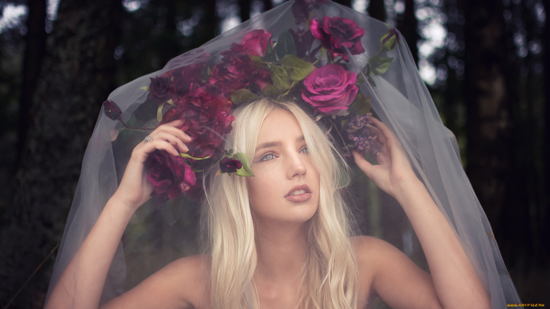 девушки, -unsort, , блондинки, вуаль, девушка, розы