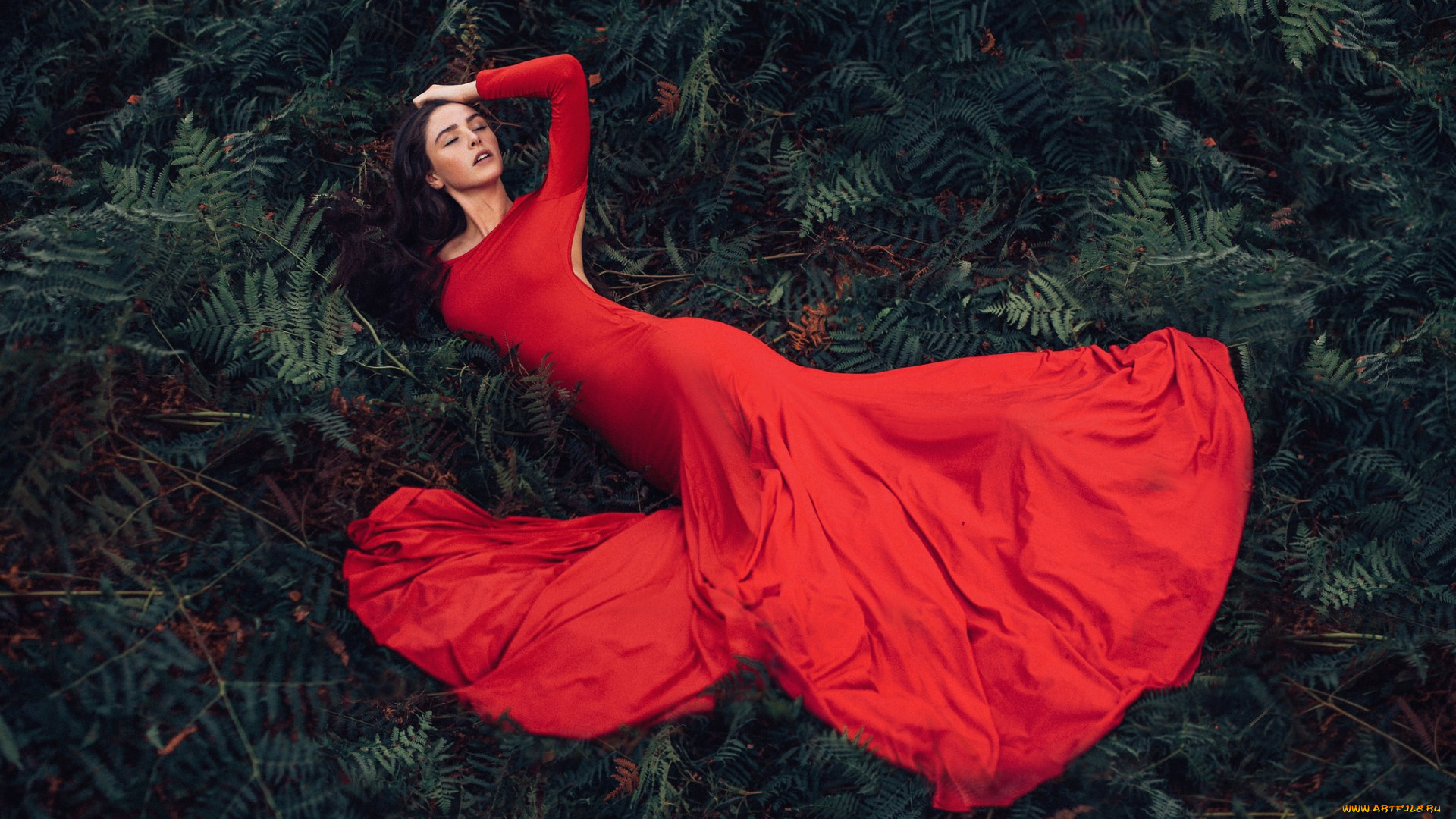 девушки, -unsort, , брюнетки, , шатенки, поза, девушка, фон