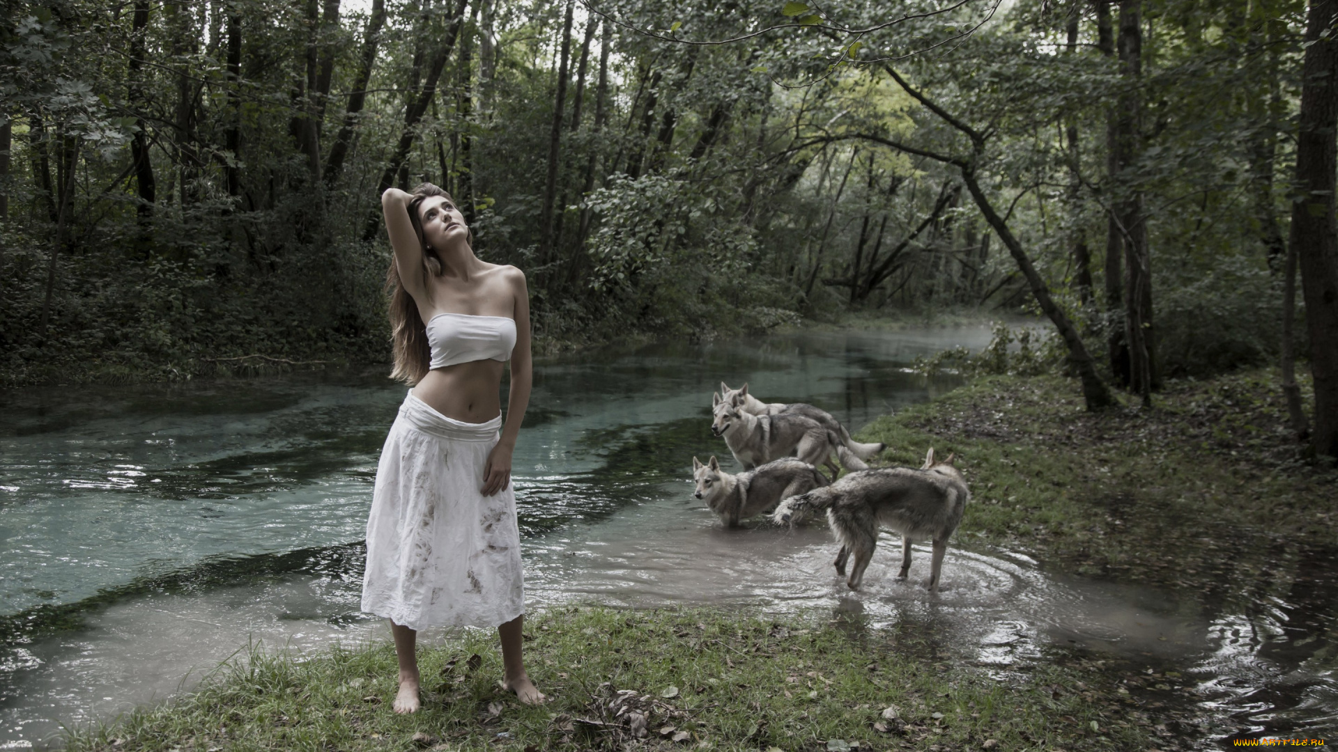 девушки, -unsort, , брюнетки, , шатенки, природа, собаки, девушка