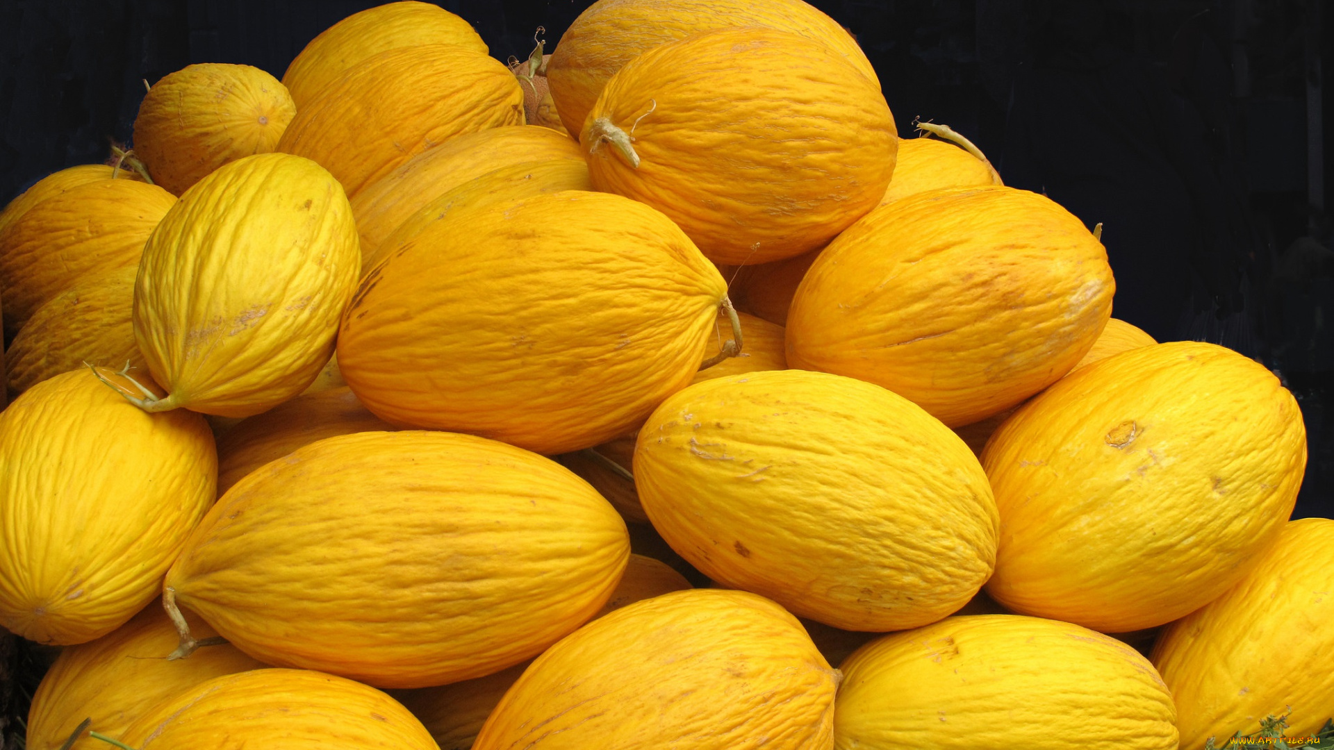 еда, дыня, урожай