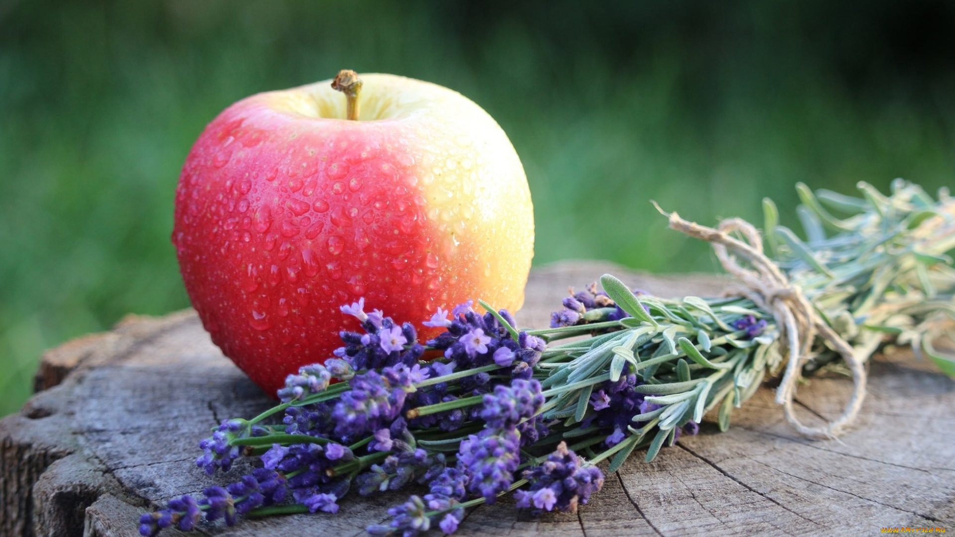 еда, Яблоки, яблоко, лаванда, фрукт, плод, цветы