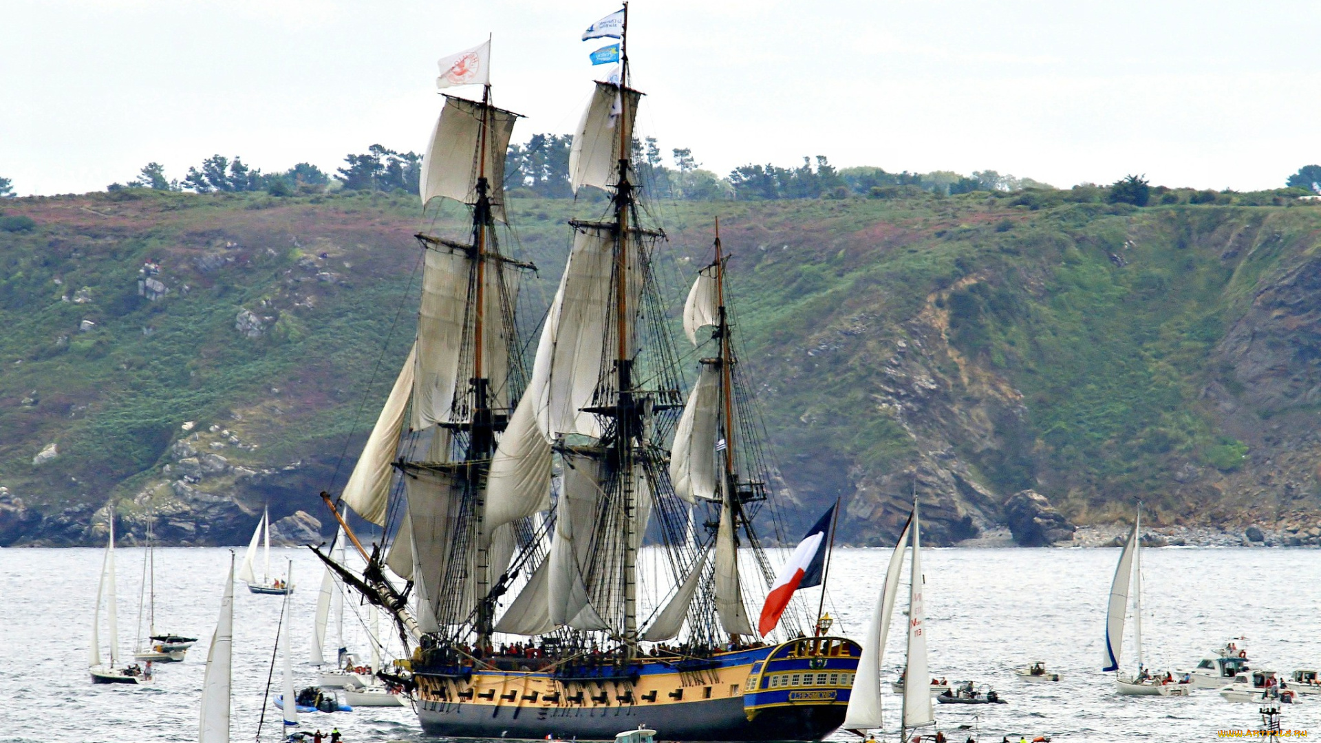 корабли, парусники, регата
