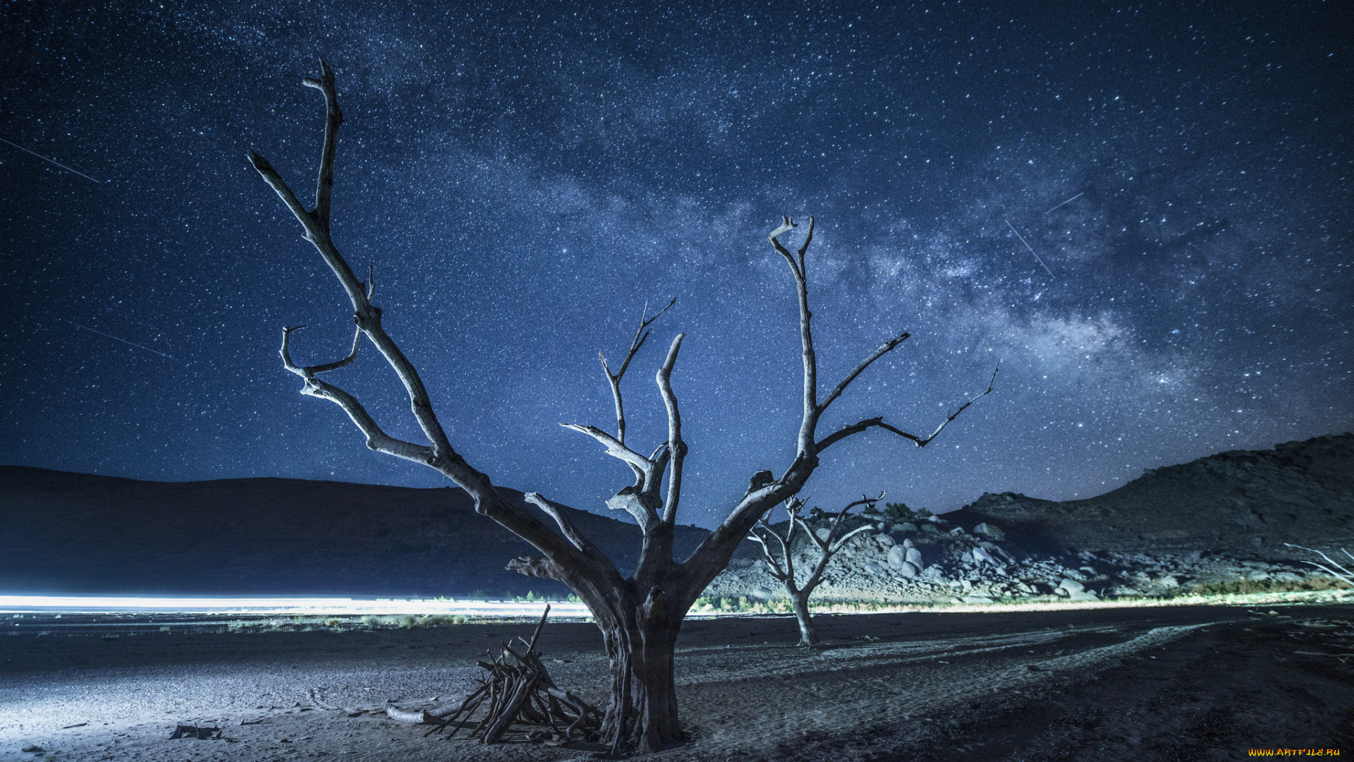 природа, деревья, космос, дерево, ночь, млечный, путь, звезды