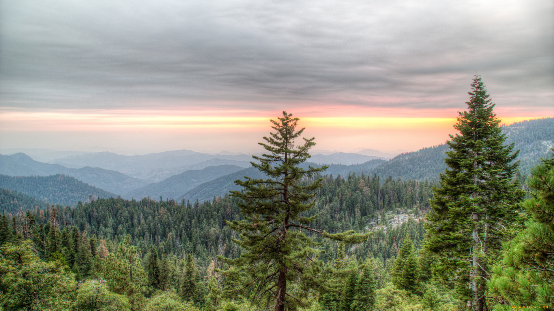 природа, деревья, леса, горы