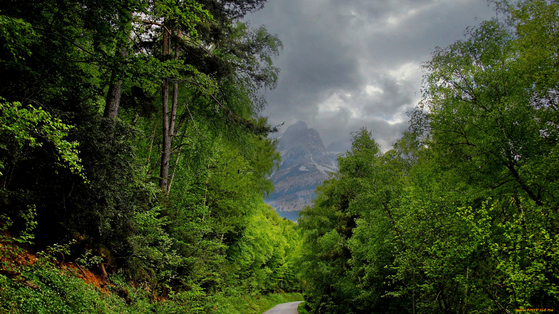 природа, дороги, горы, лес, тропинка