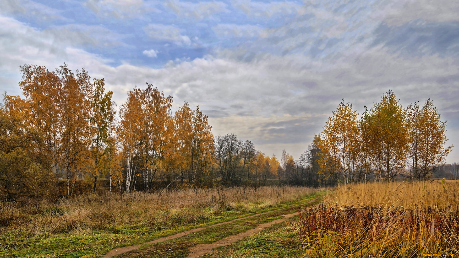 природа, дороги, пейзаж, осень, деревья, подмосковье