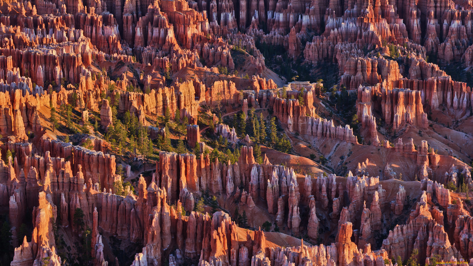 природа, горы, bryce, canyon, national, park, сша, юта, деревья, скалы