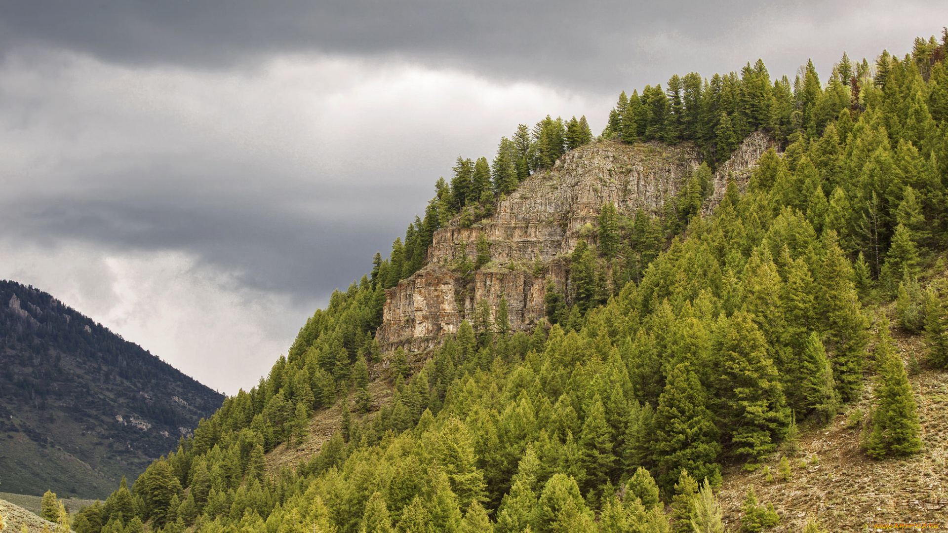 природа, горы, скала, лес