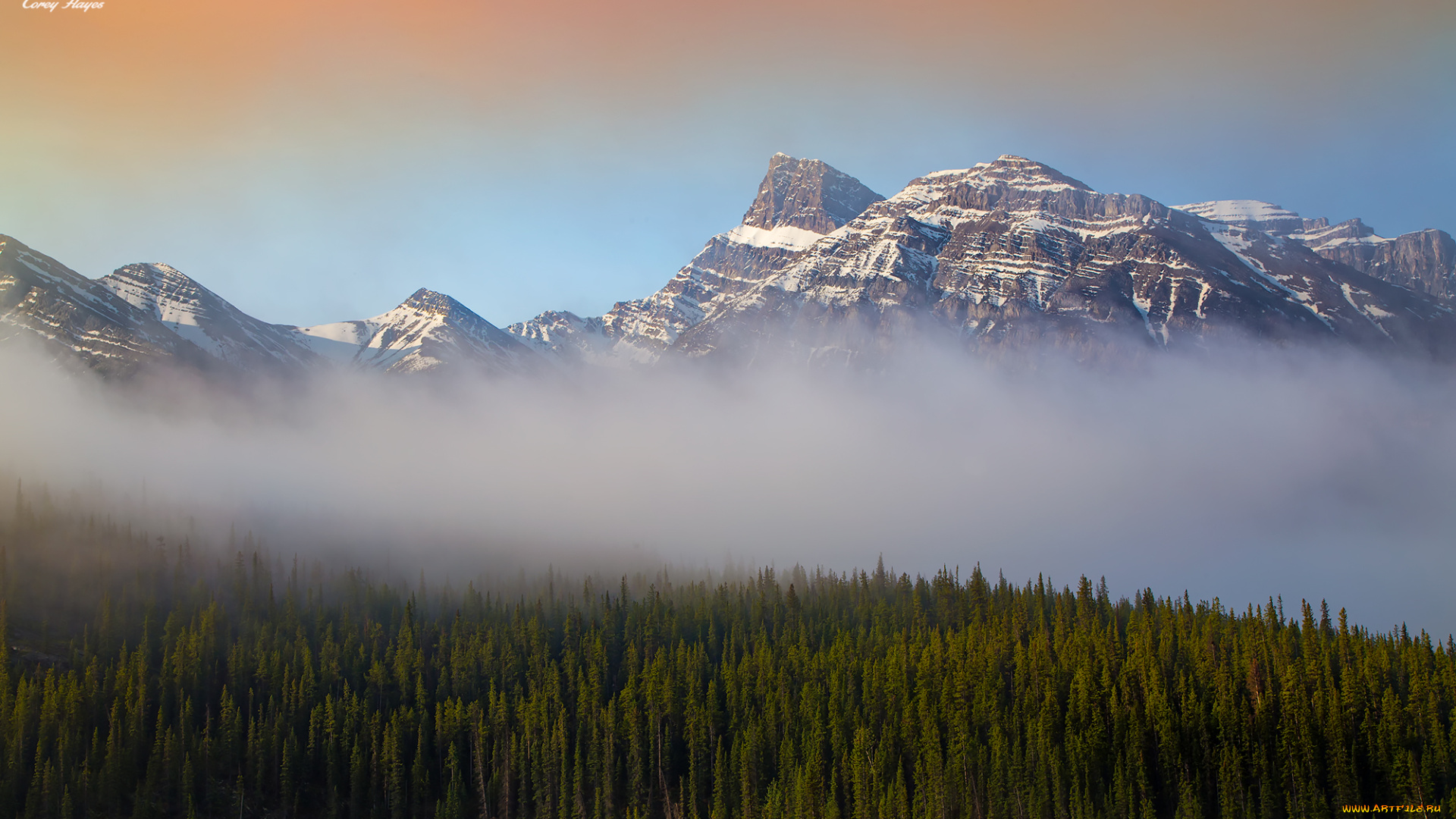 природа, горы, туман, лес, утро