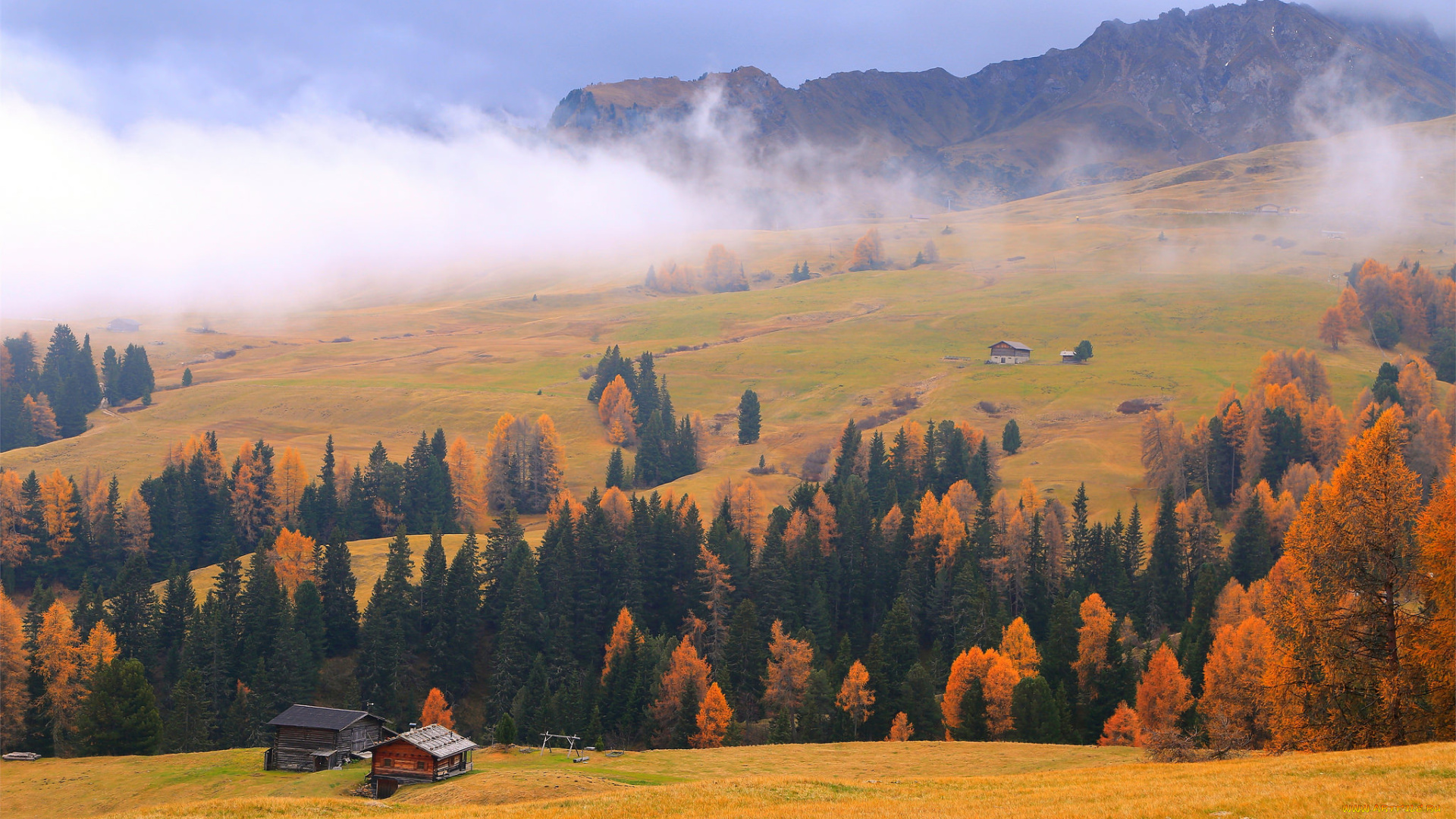природа, лес, осень, дом