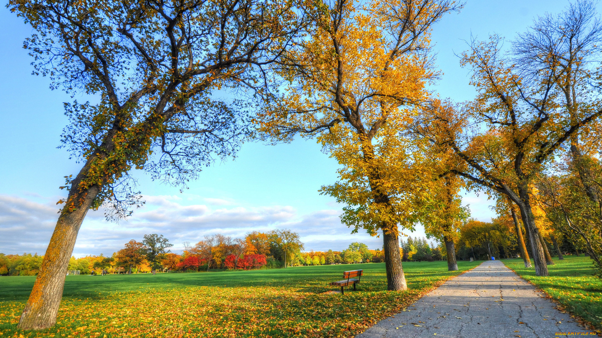 природа, парк, дорога, скамья, деревья, трава, листья, осень