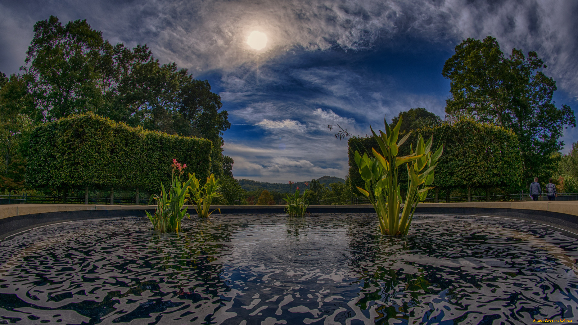 природа, парк, пруд