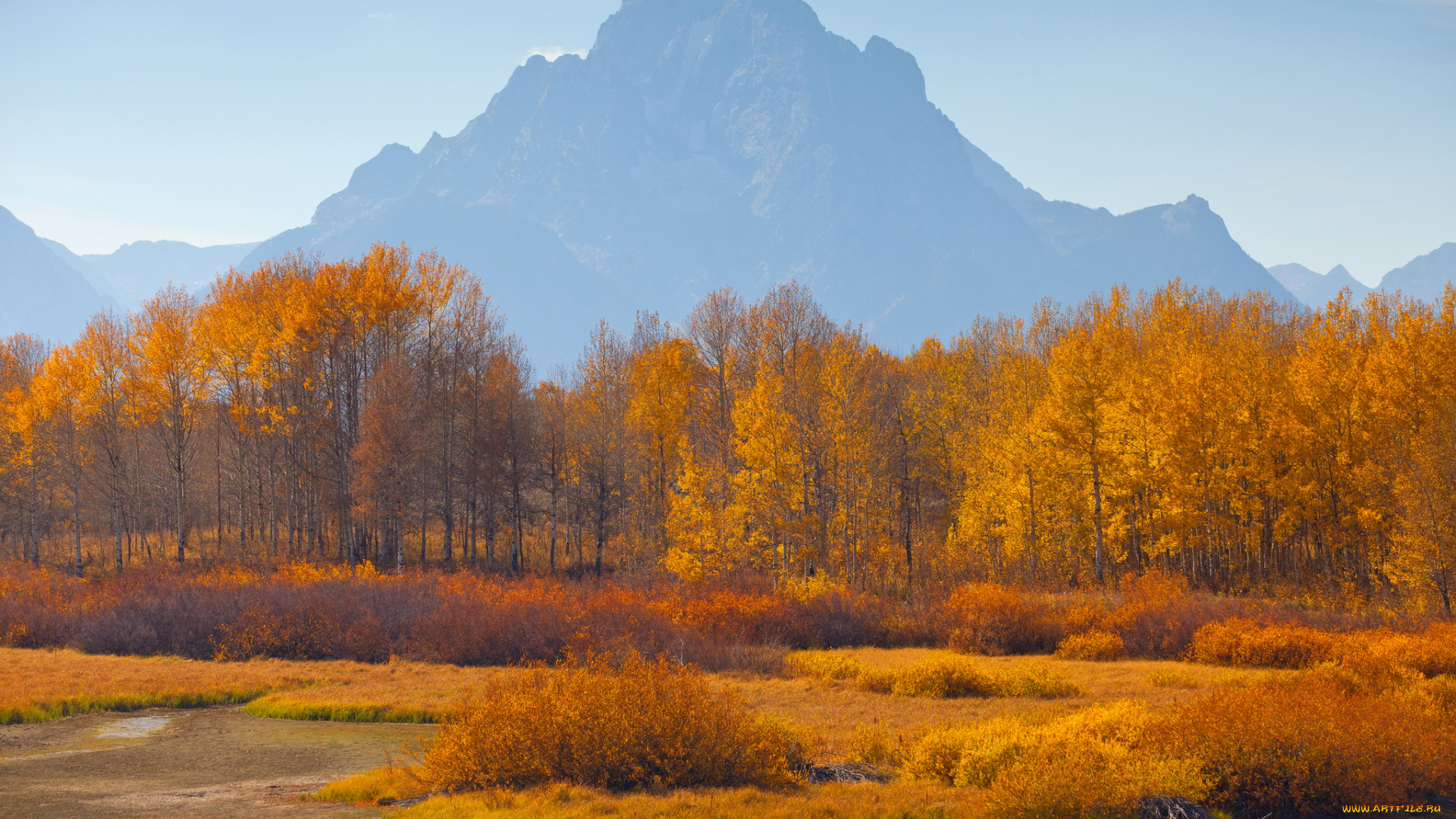природа, пейзажи, деревья, осень, дымка, горы, небо