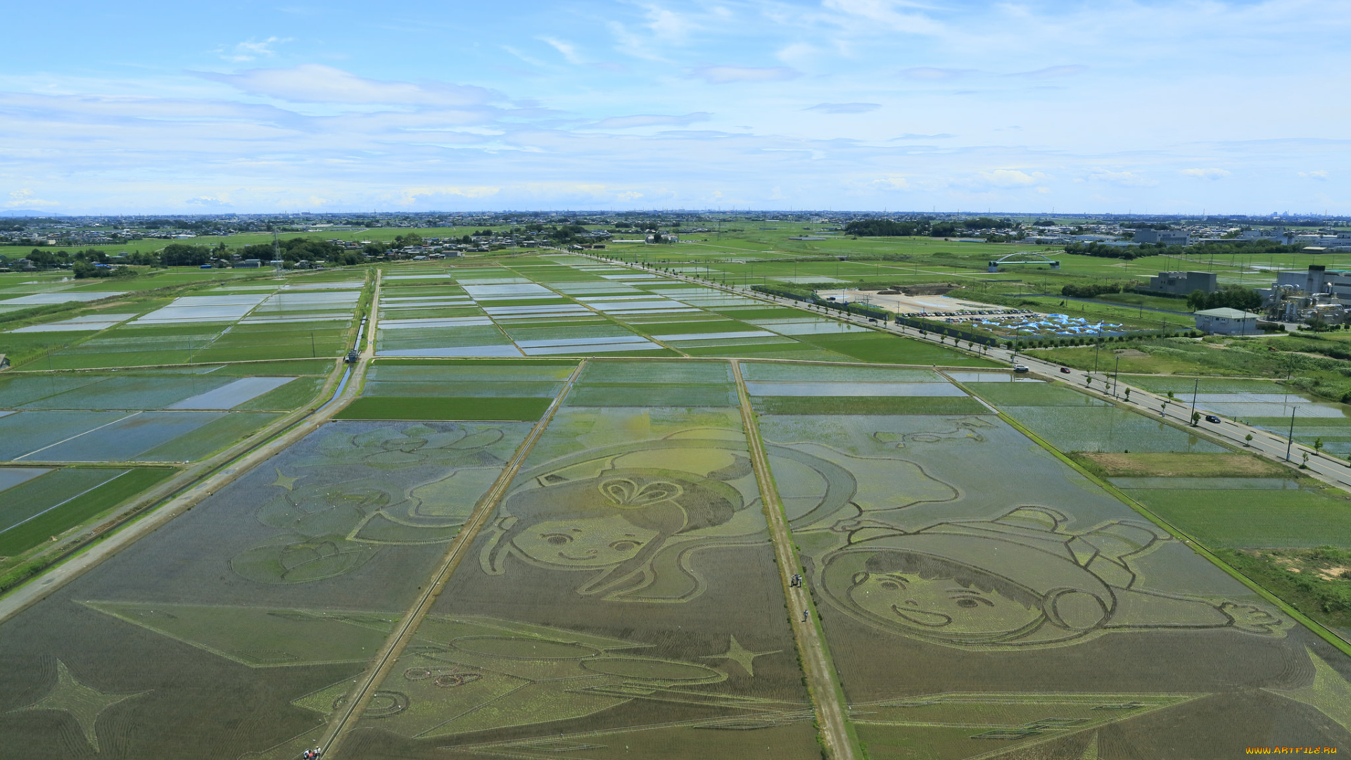 природа, поля, рисовые, рисунки