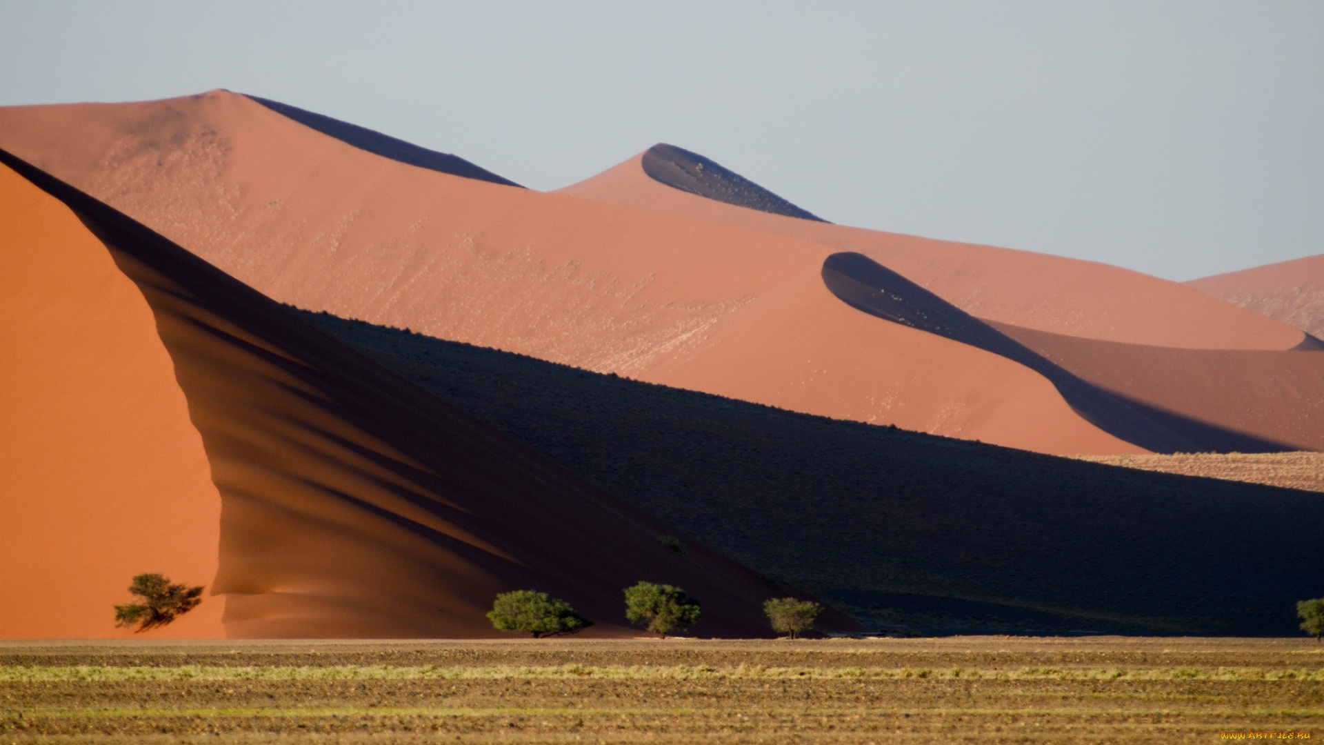 природа, пустыни, пейзаж, барханы, пустыня, песок