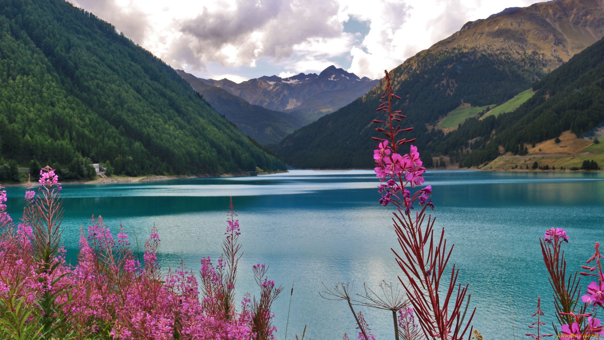 природа, реки, озера, цветы, горы, озеро