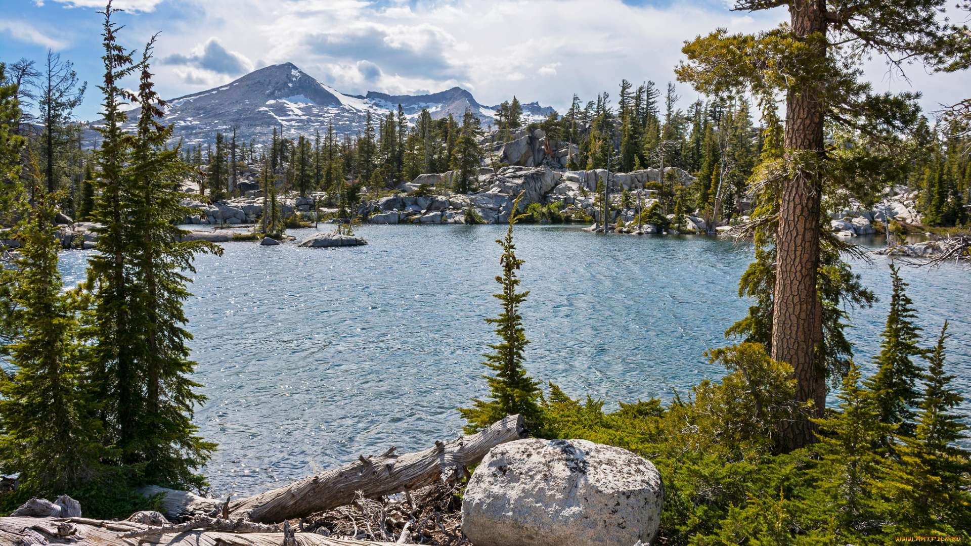 природа, реки, озера, горы, лес, река