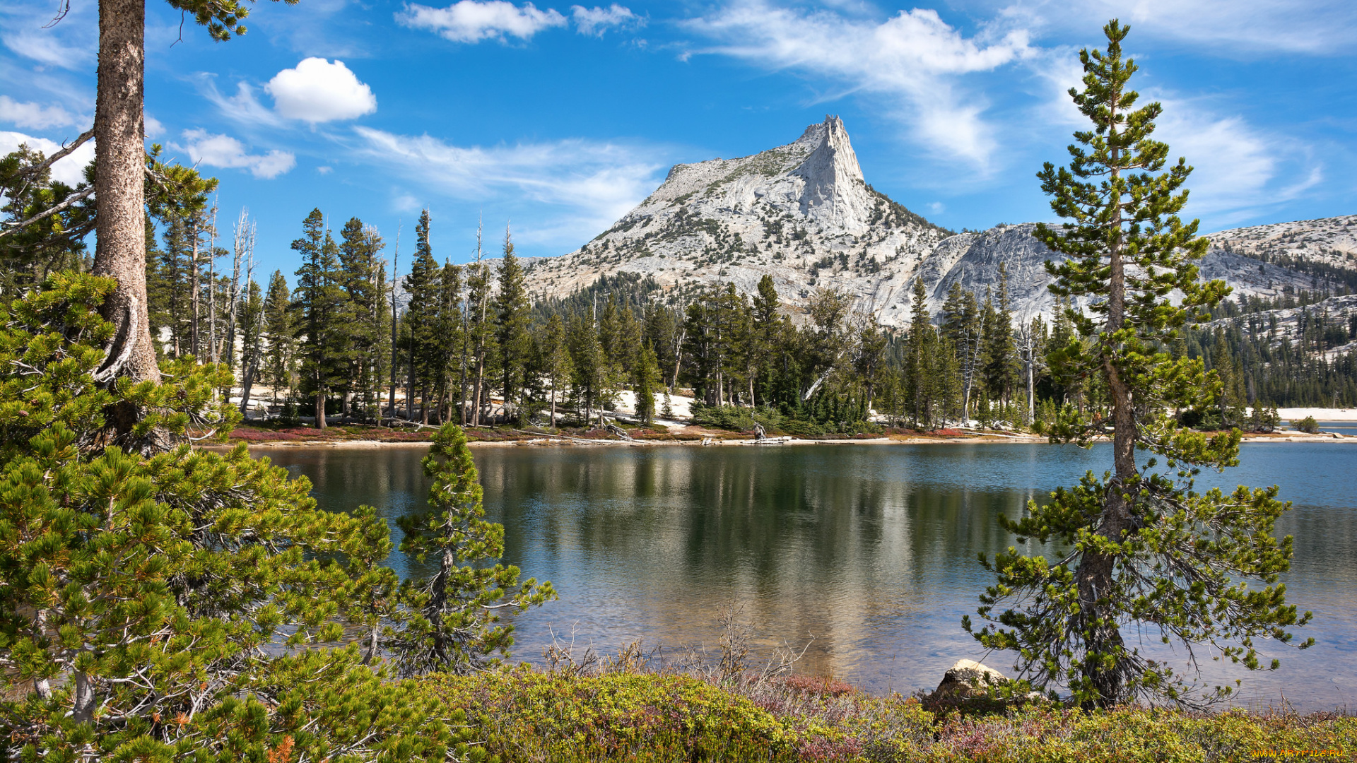 природа, реки, озера, горы, река, лес