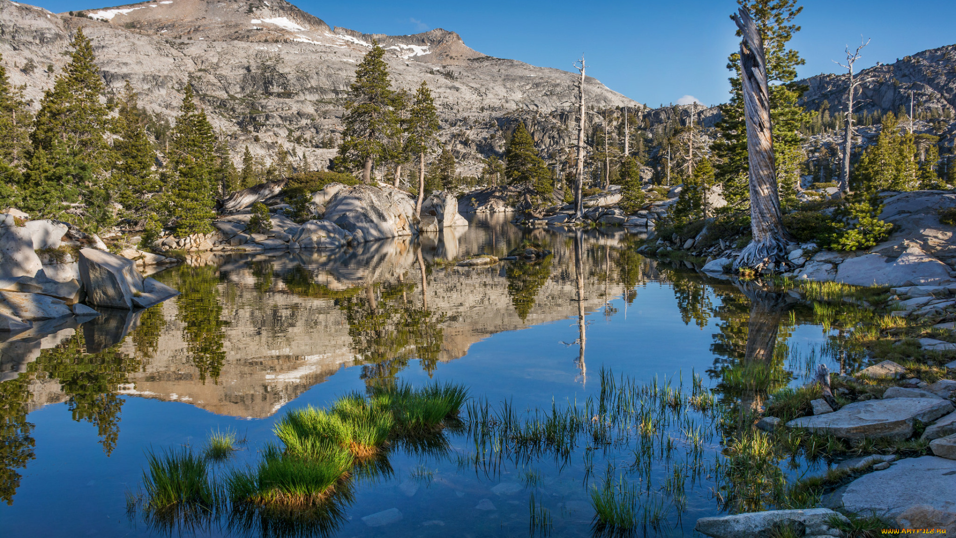 природа, реки, озера, горы, река, лес